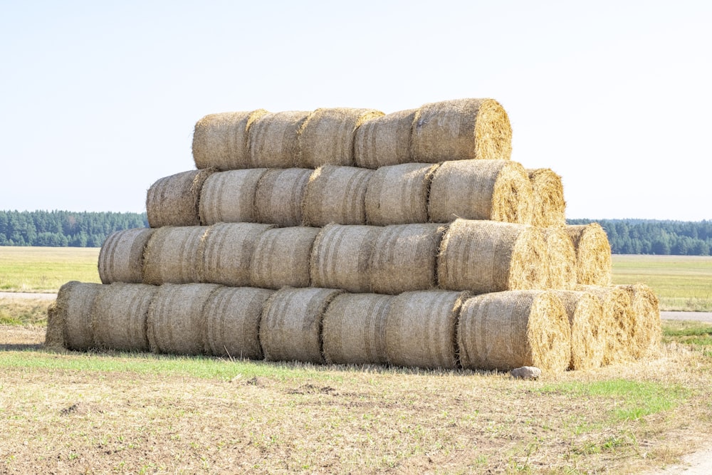 a large pile of hay