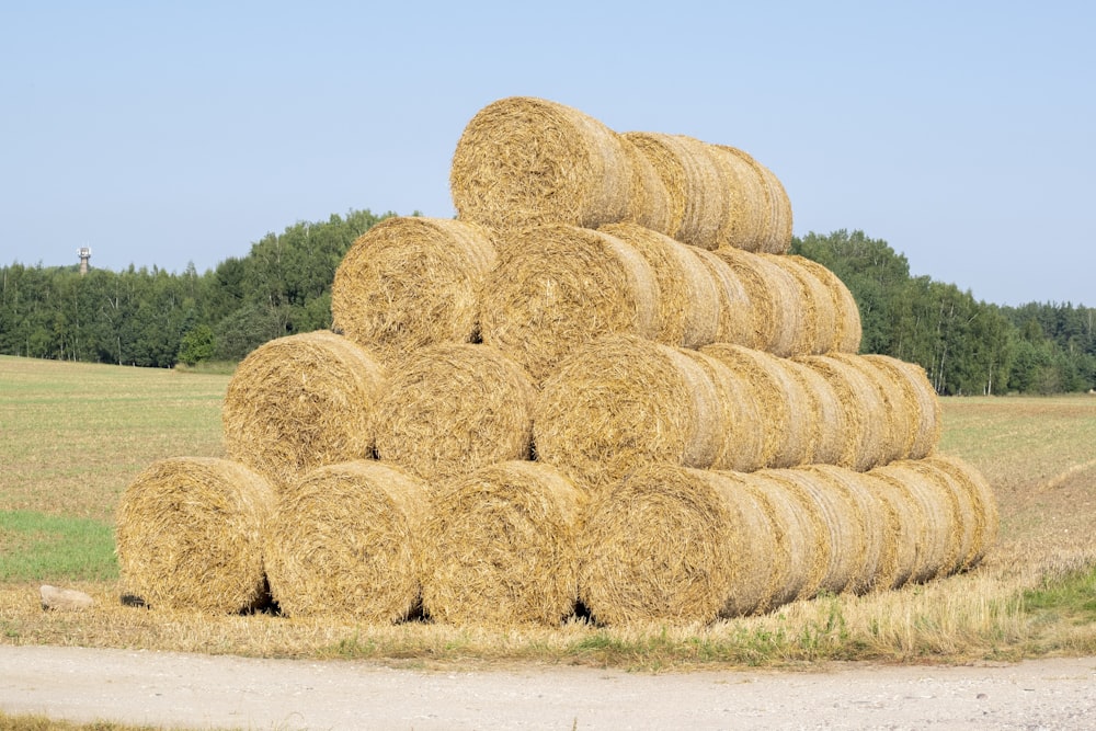 a large pile of hay