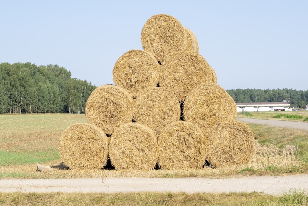 a large pile of hay