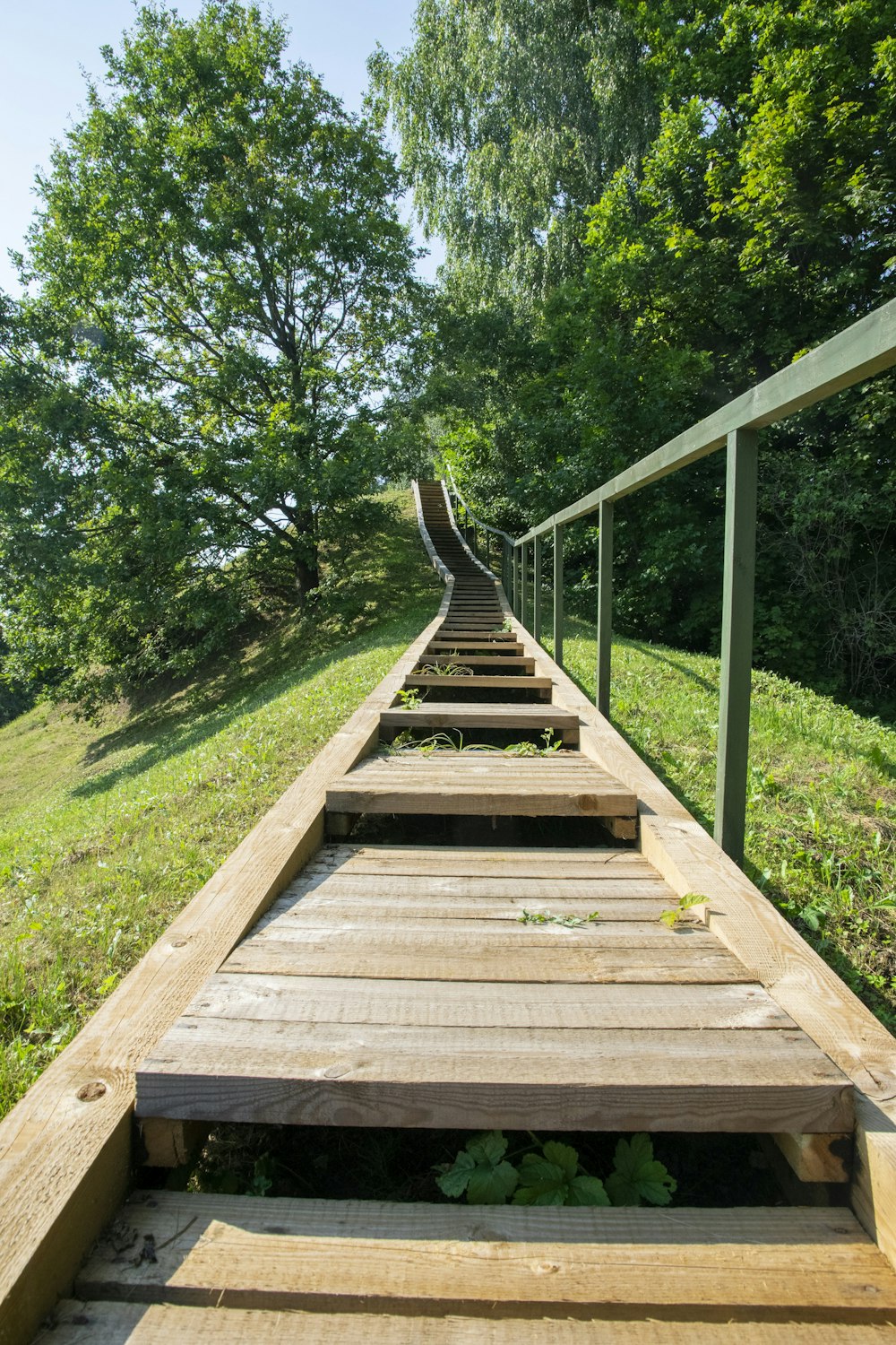 a wooden bridge over a grassy area