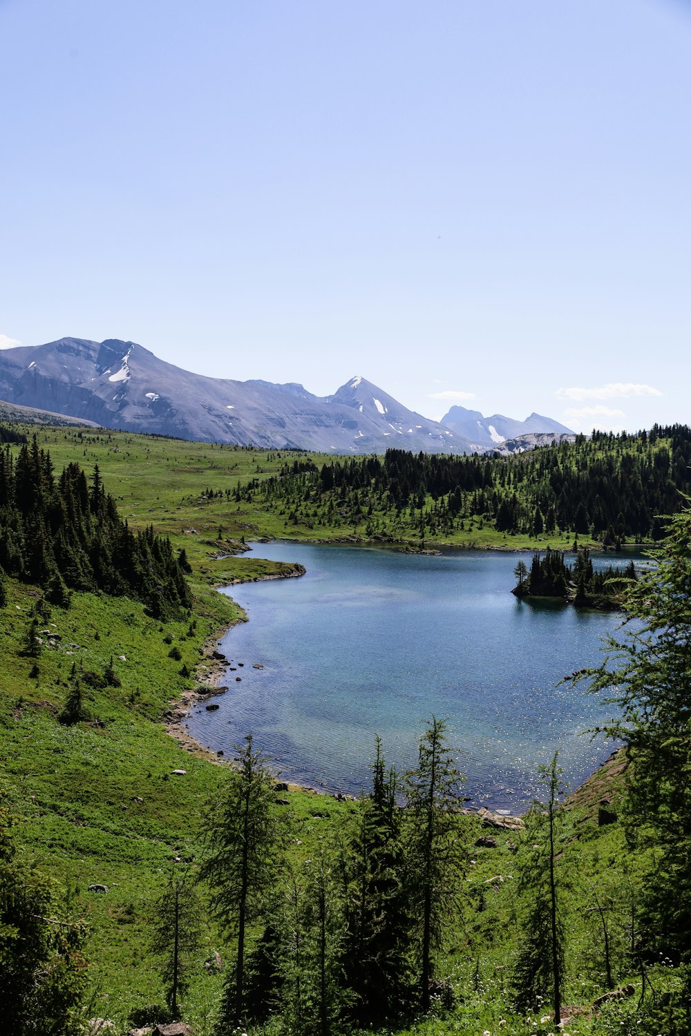 a river with trees and mountains in the background