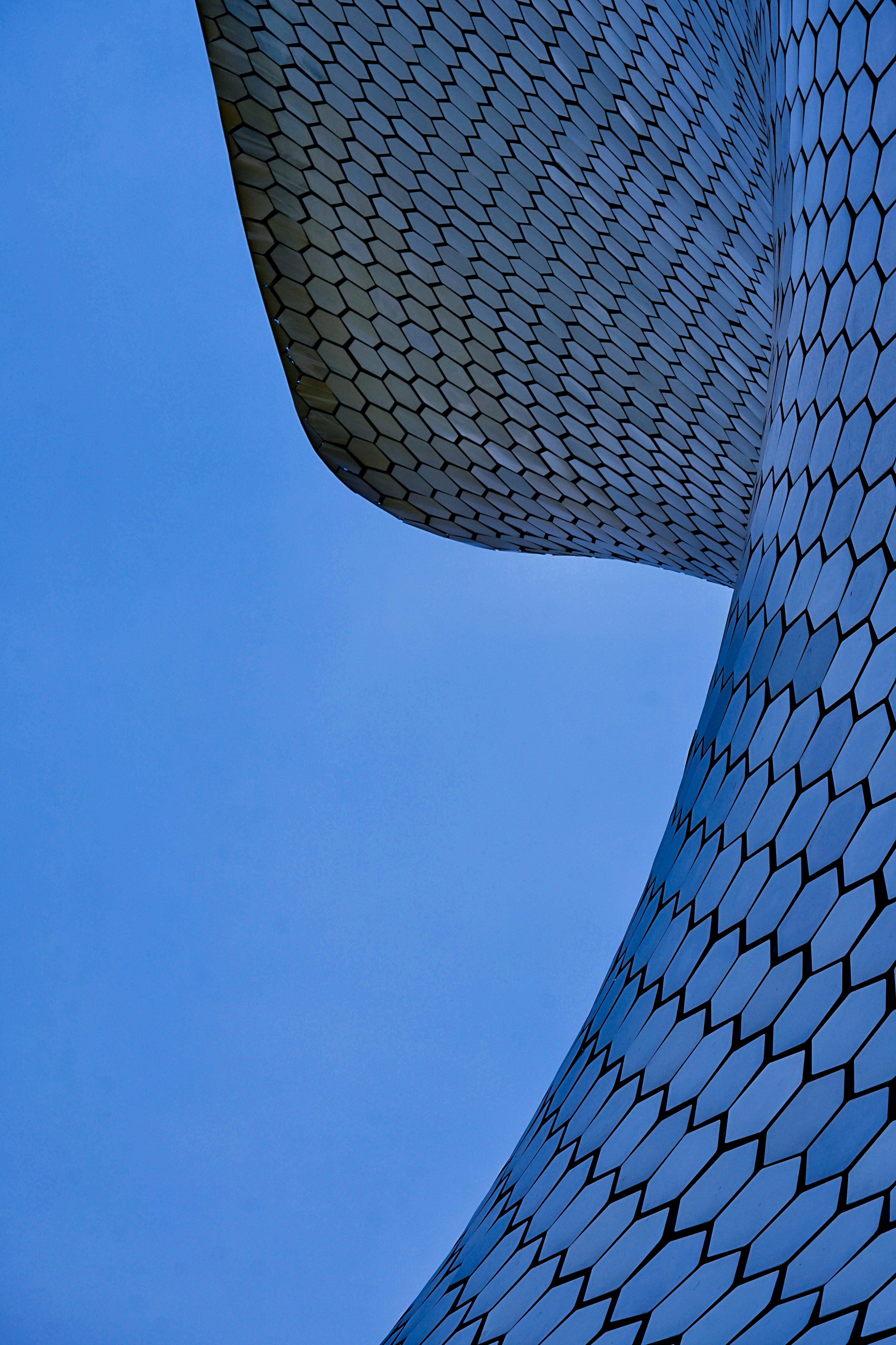 Photo by errich_cross