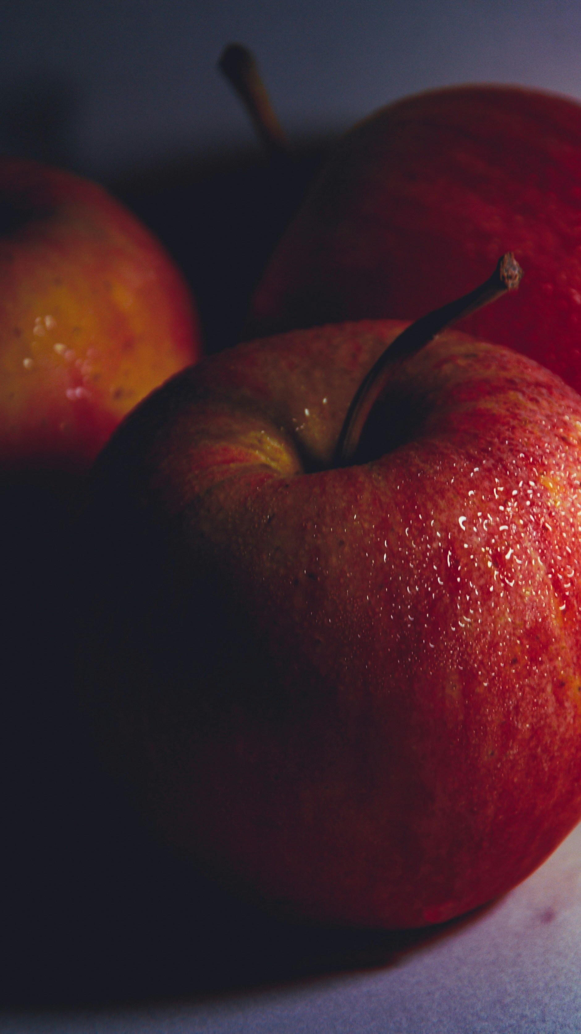 Photo by rudrendu_sharma