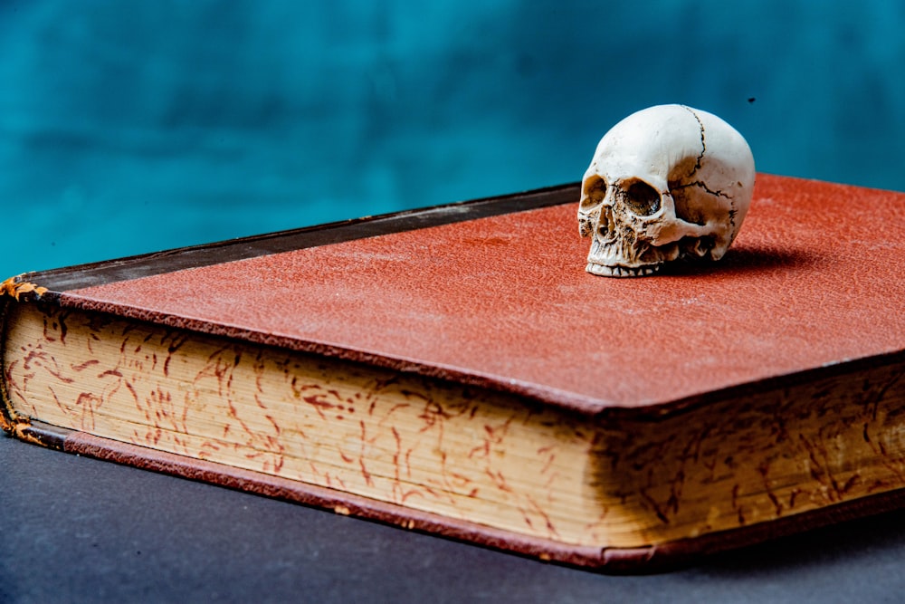 a skull on a book