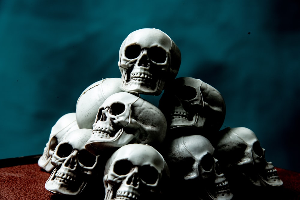 a group of skeletons