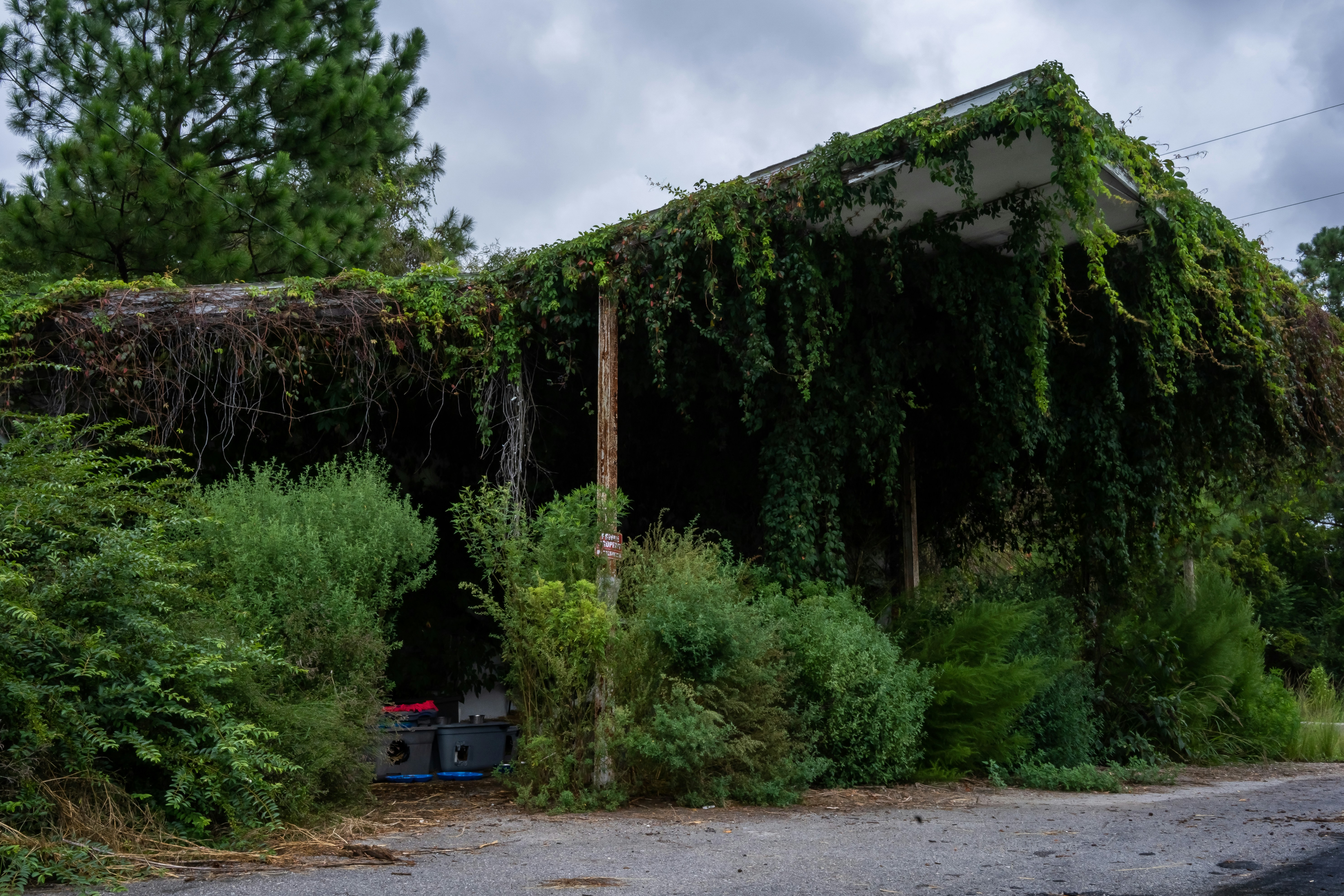 Photo by rose_photos