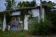 An abandoned building overgrown with vines and vegetation, featuring boarded-up windows and graffiti on the walls. The structure appears weathered and neglected, set against a backdrop of dense trees and a cloudy sky.