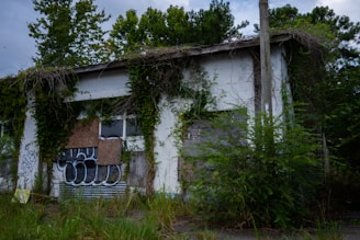 An abandoned building overgrown with vines and vegetation, featuring boarded-up windows and graffiti on the walls. The structure appears weathered and neglected, set against a backdrop of dense trees and a cloudy sky.