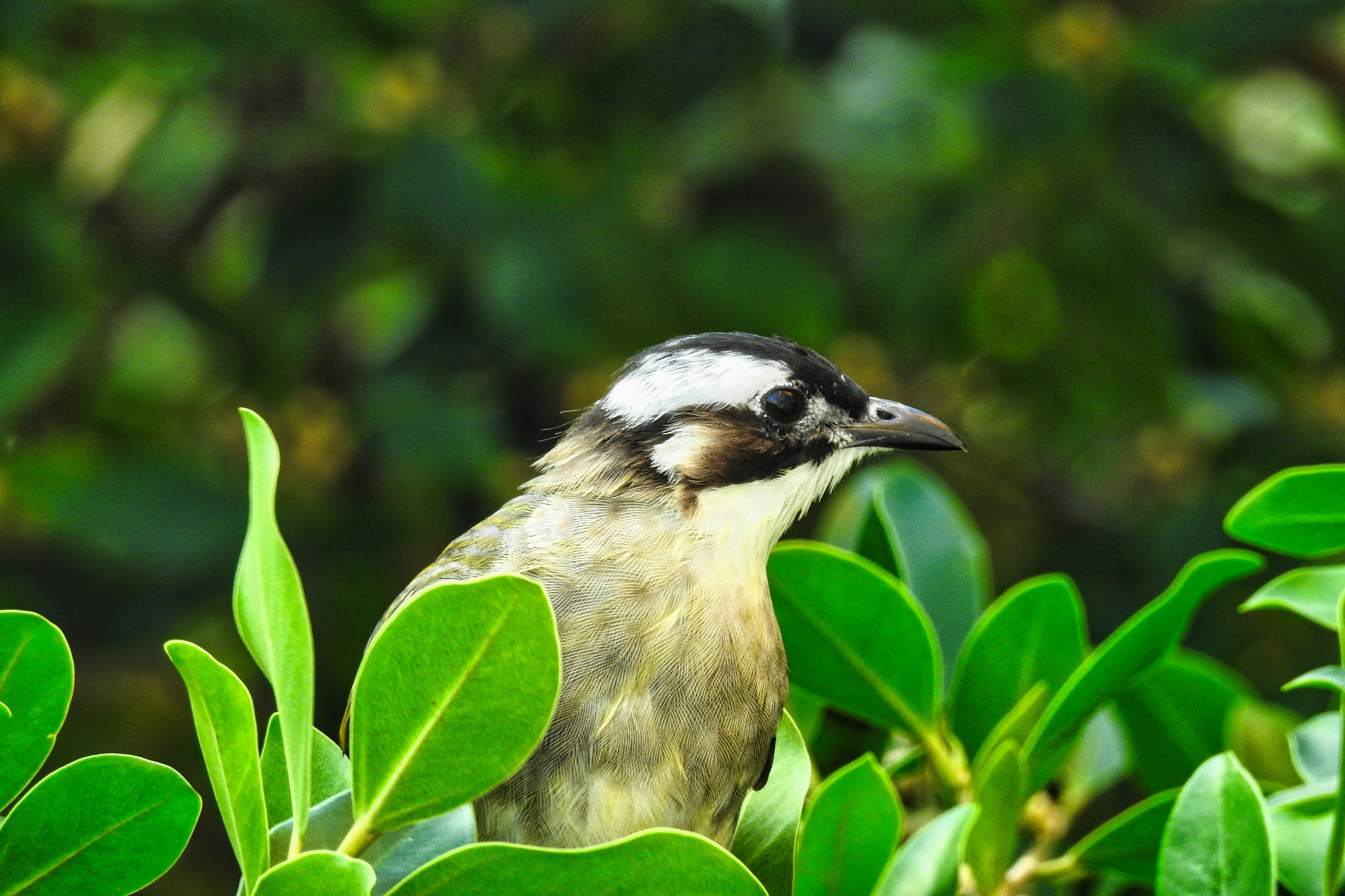 Photo by thomaskinto