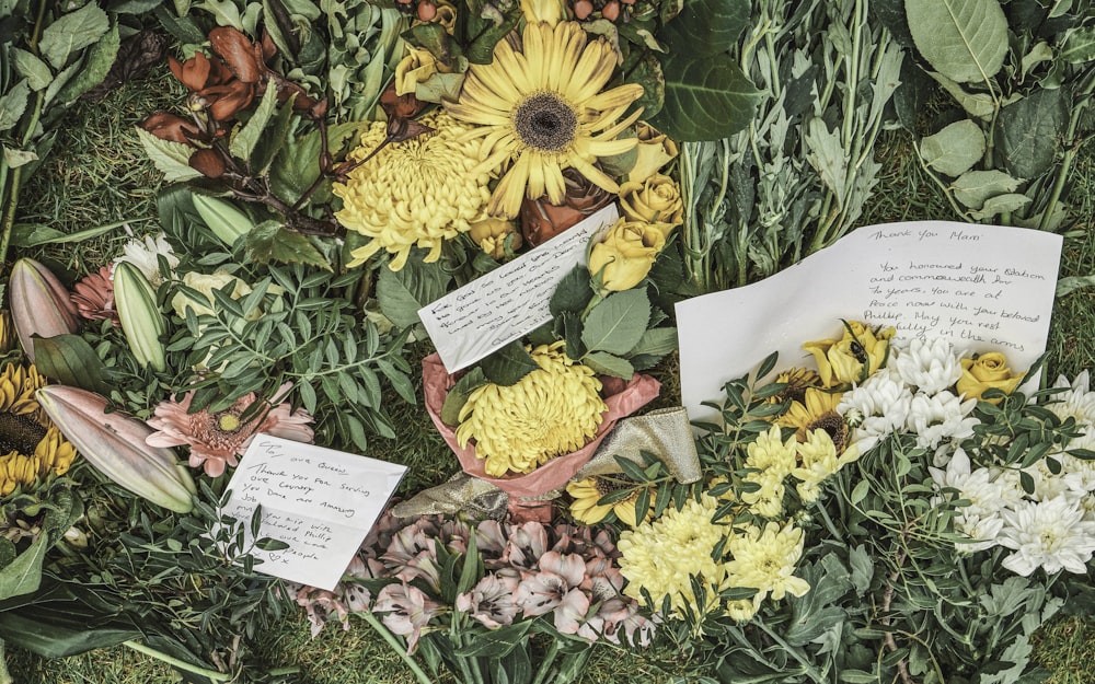 a group of flowers and plants