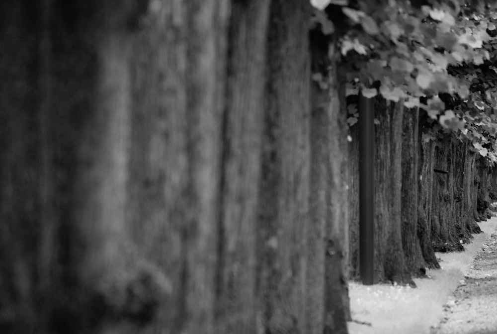 a fence with snow on it