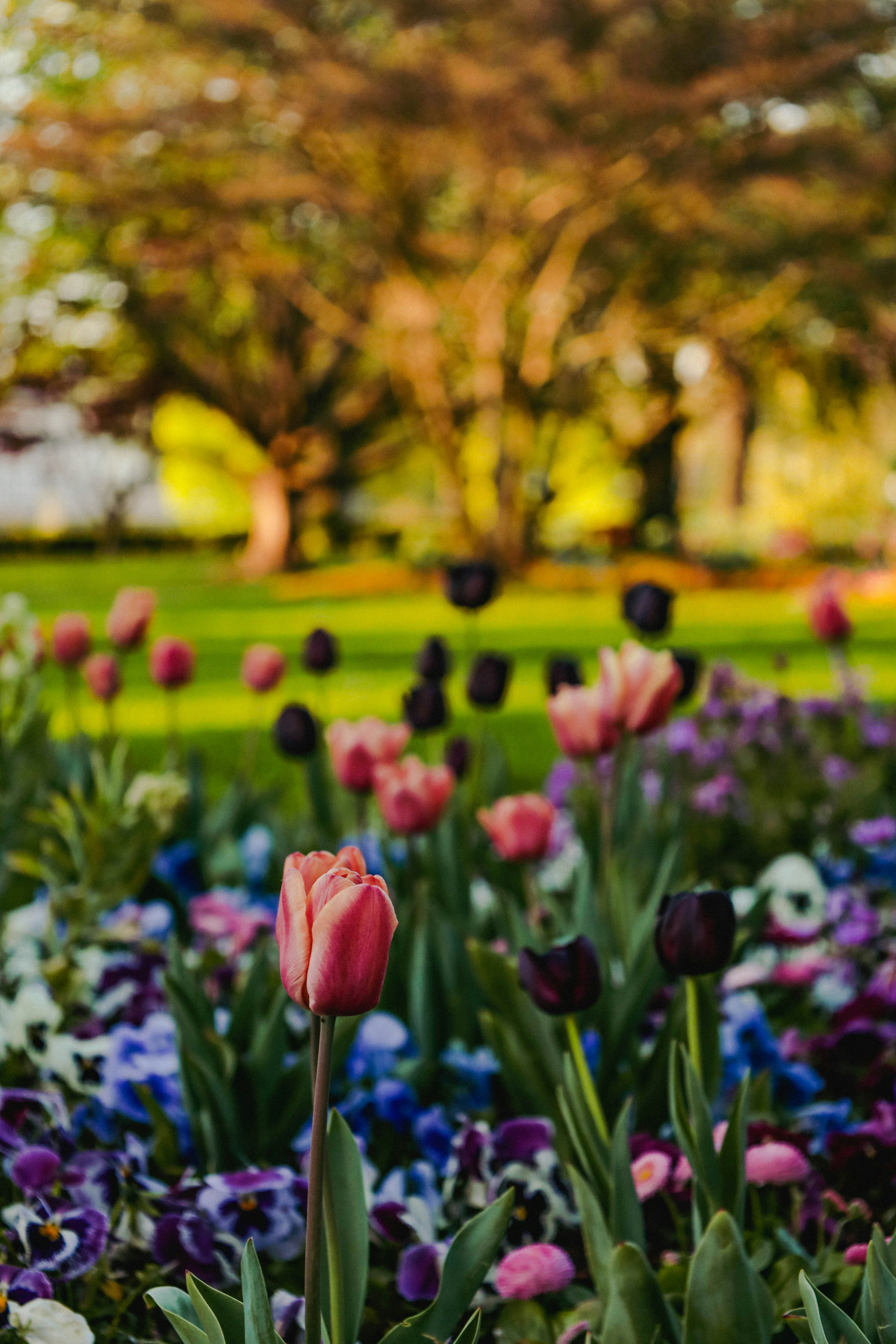 Photo by doeringphotograpy