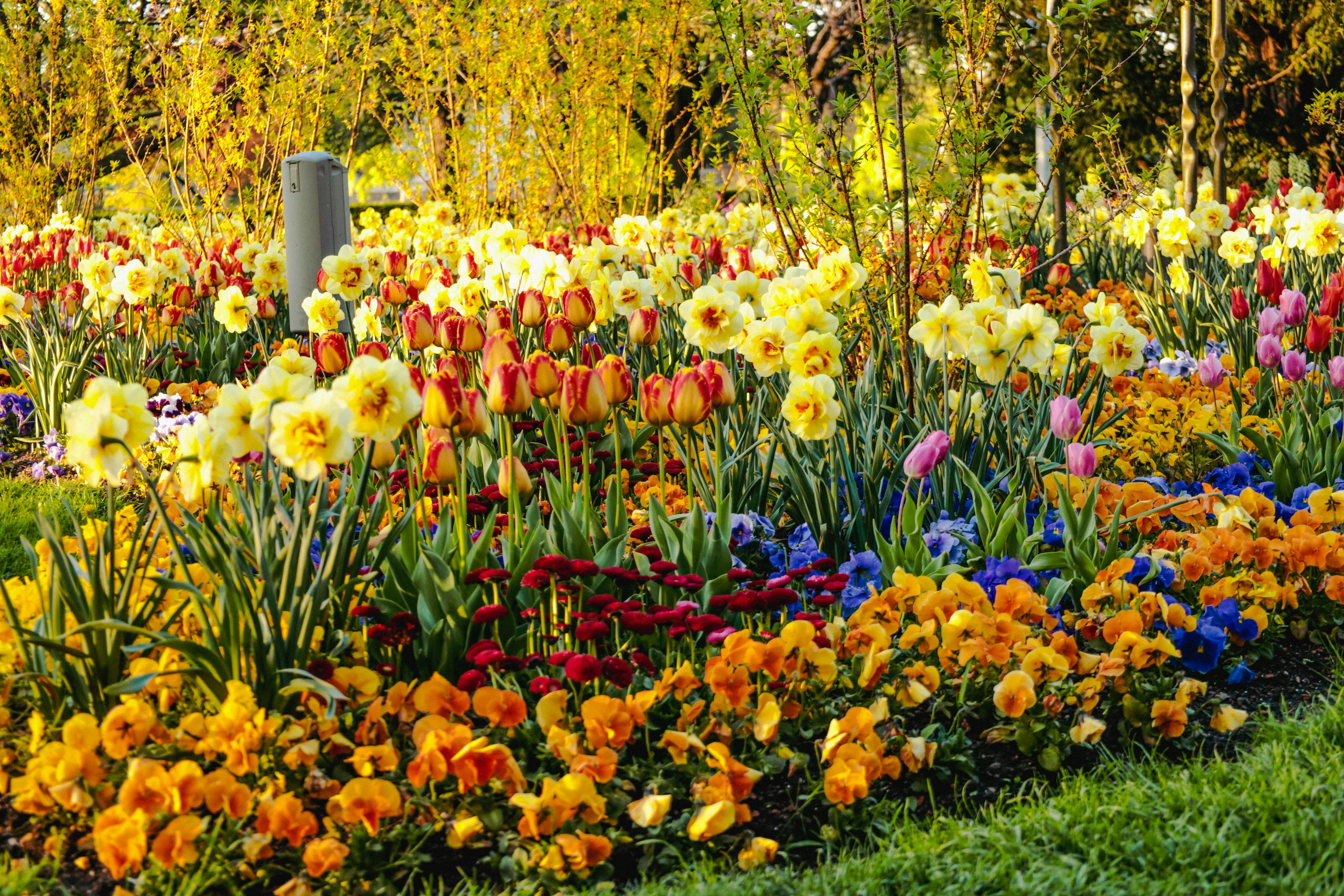 Photo by doeringphotograpy