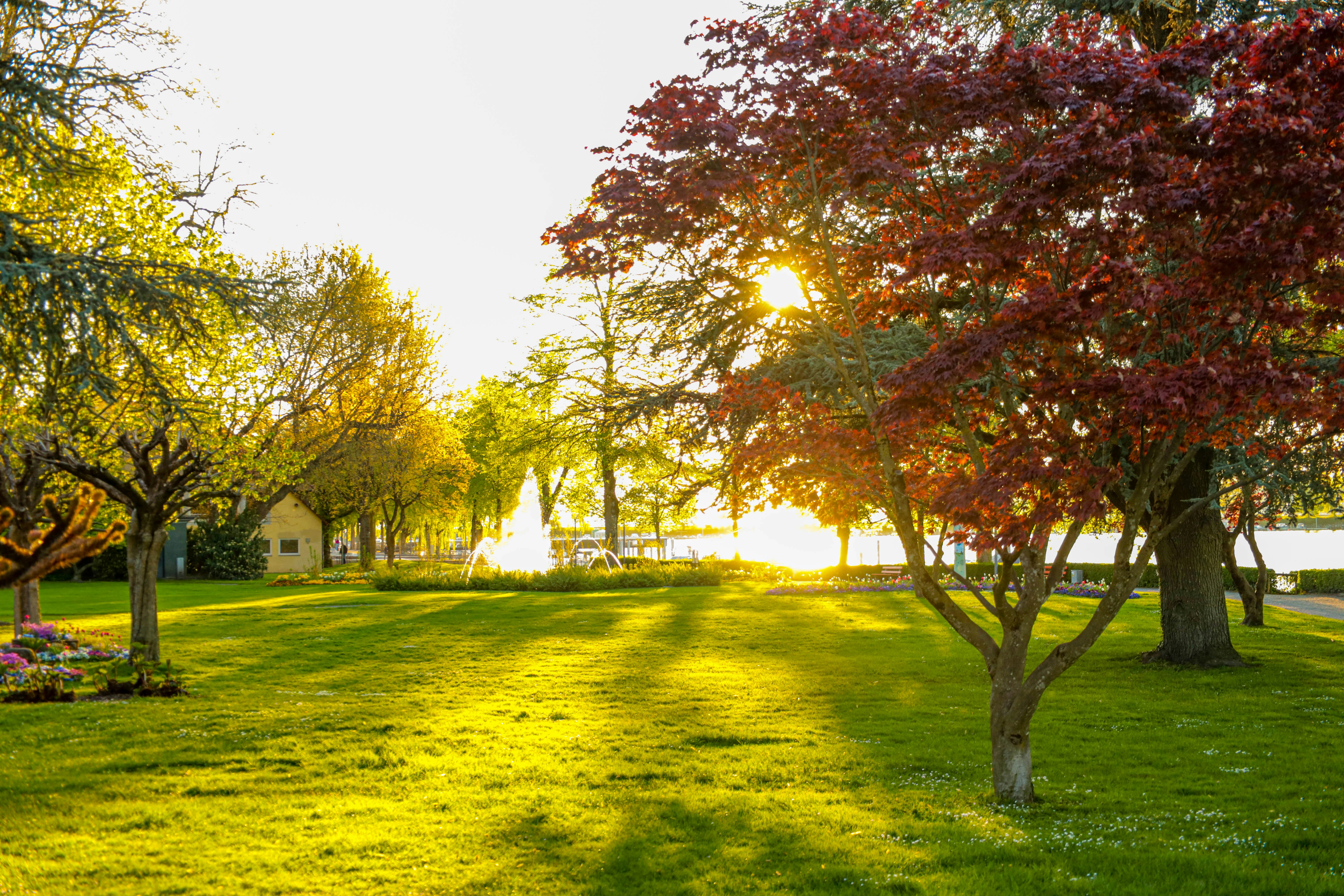 Photo by doeringphotograpy