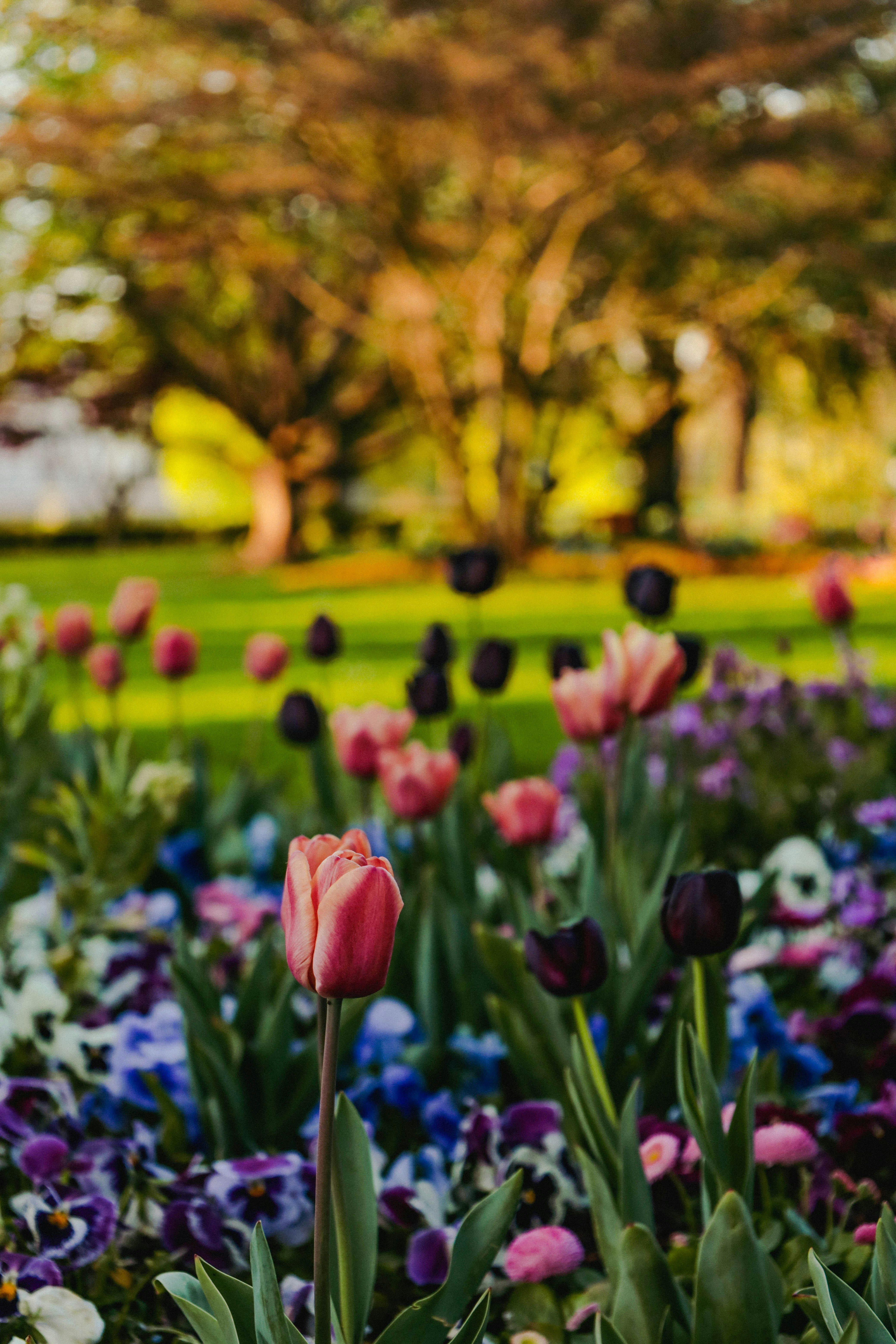 Photo by doeringphotograpy