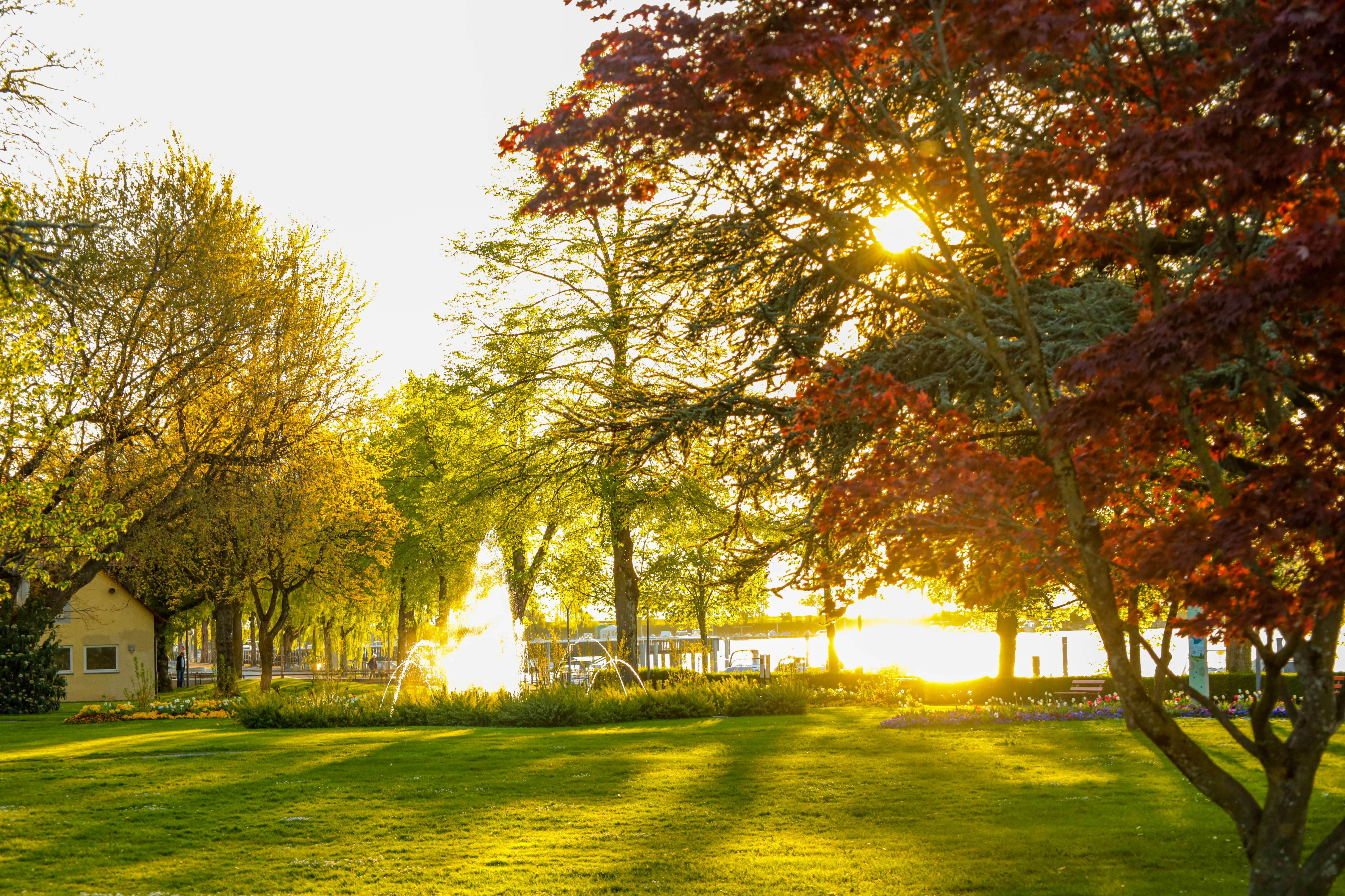 Photo by doeringphotograpy