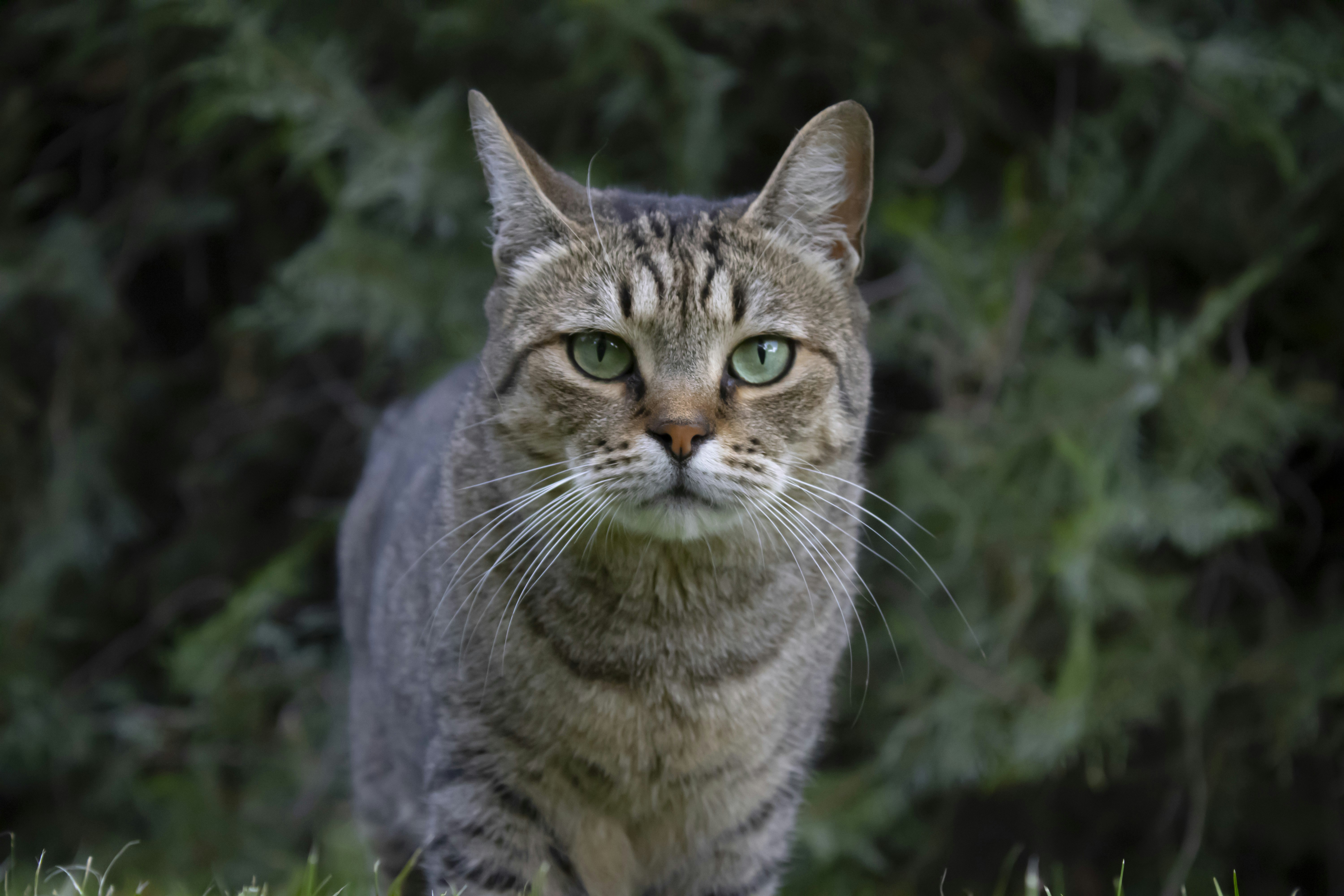 Photo by albertdavid6