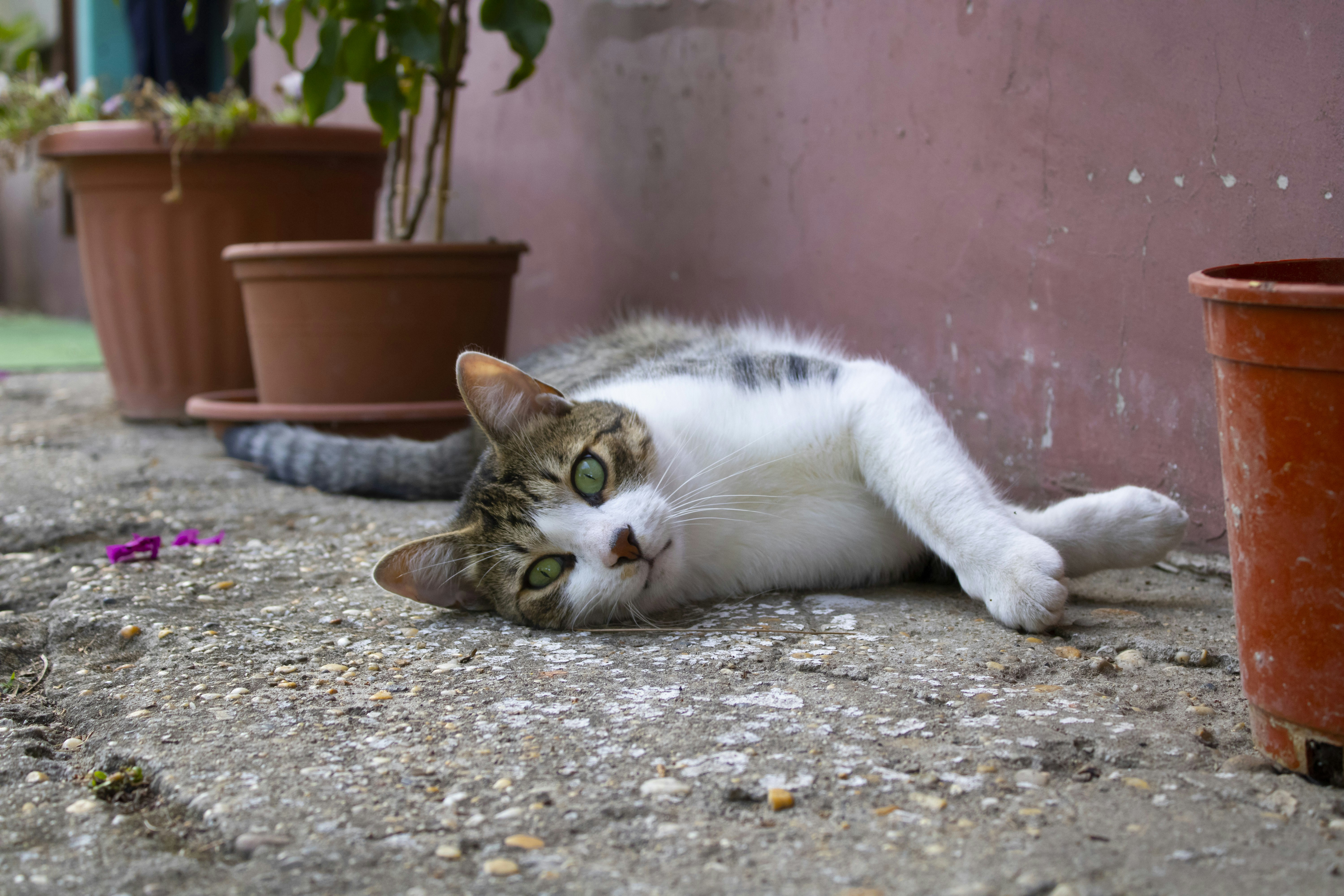 Photo by albertdavid6