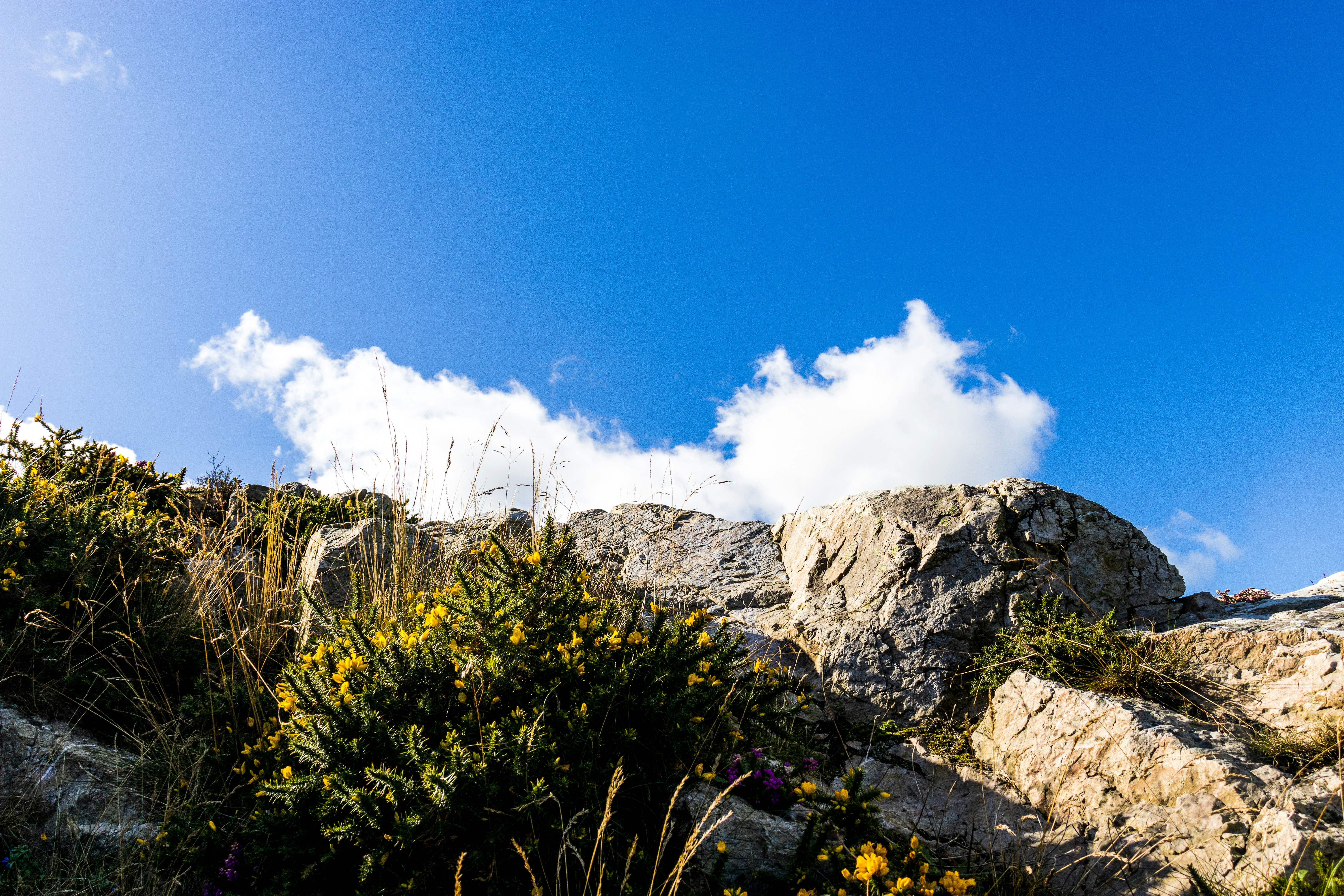 Photo by pokornymichal