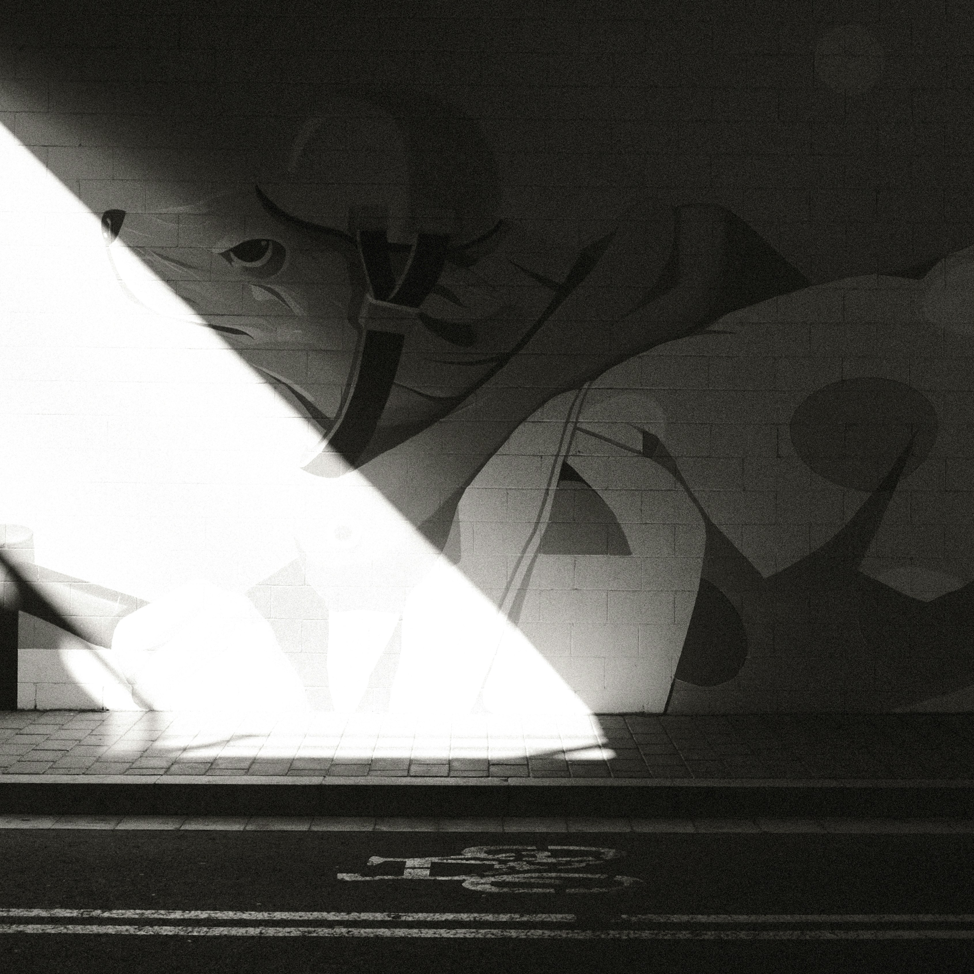 une photo en noir et blanc d’un homme et d’une femme