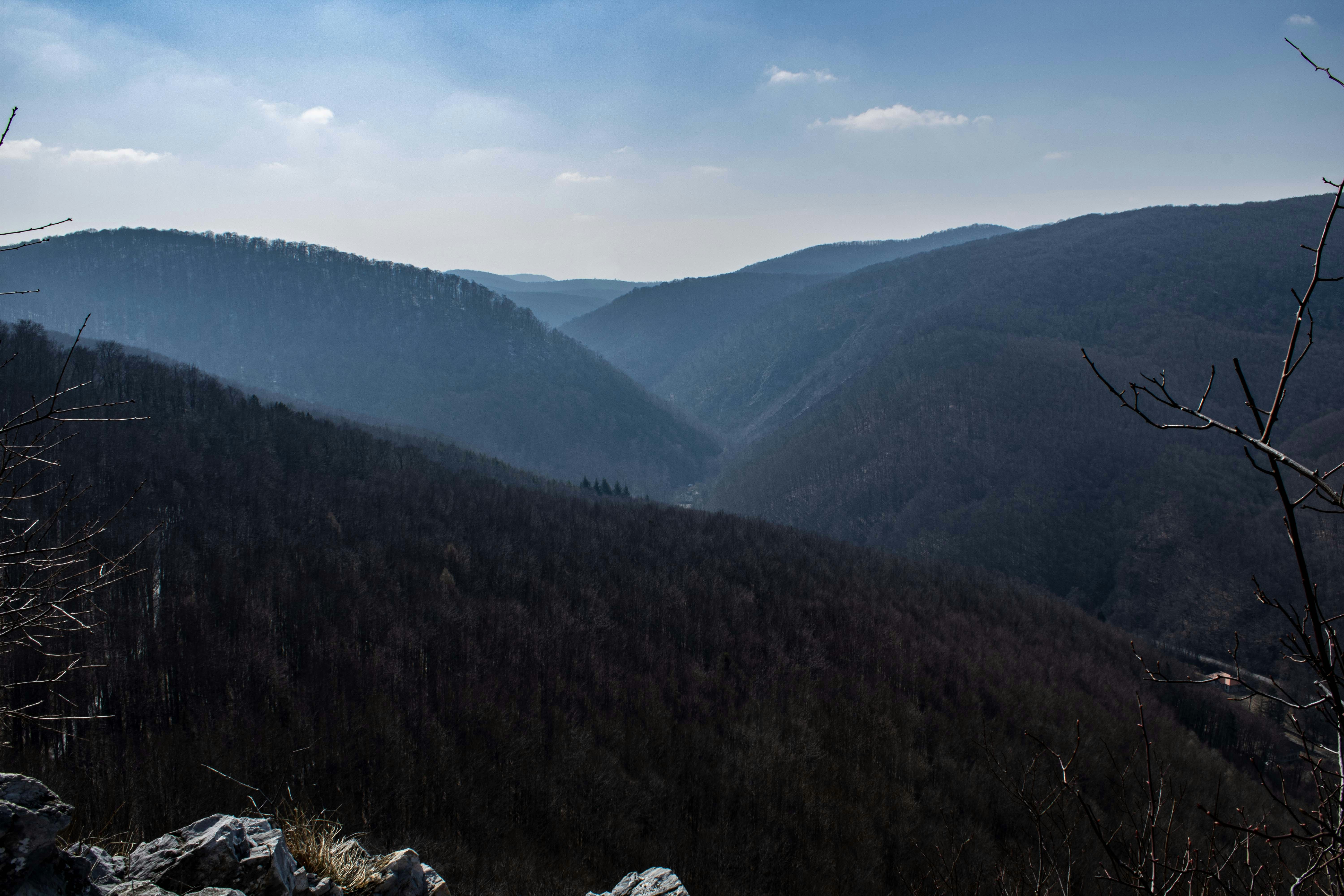 Photo by albertdavid6