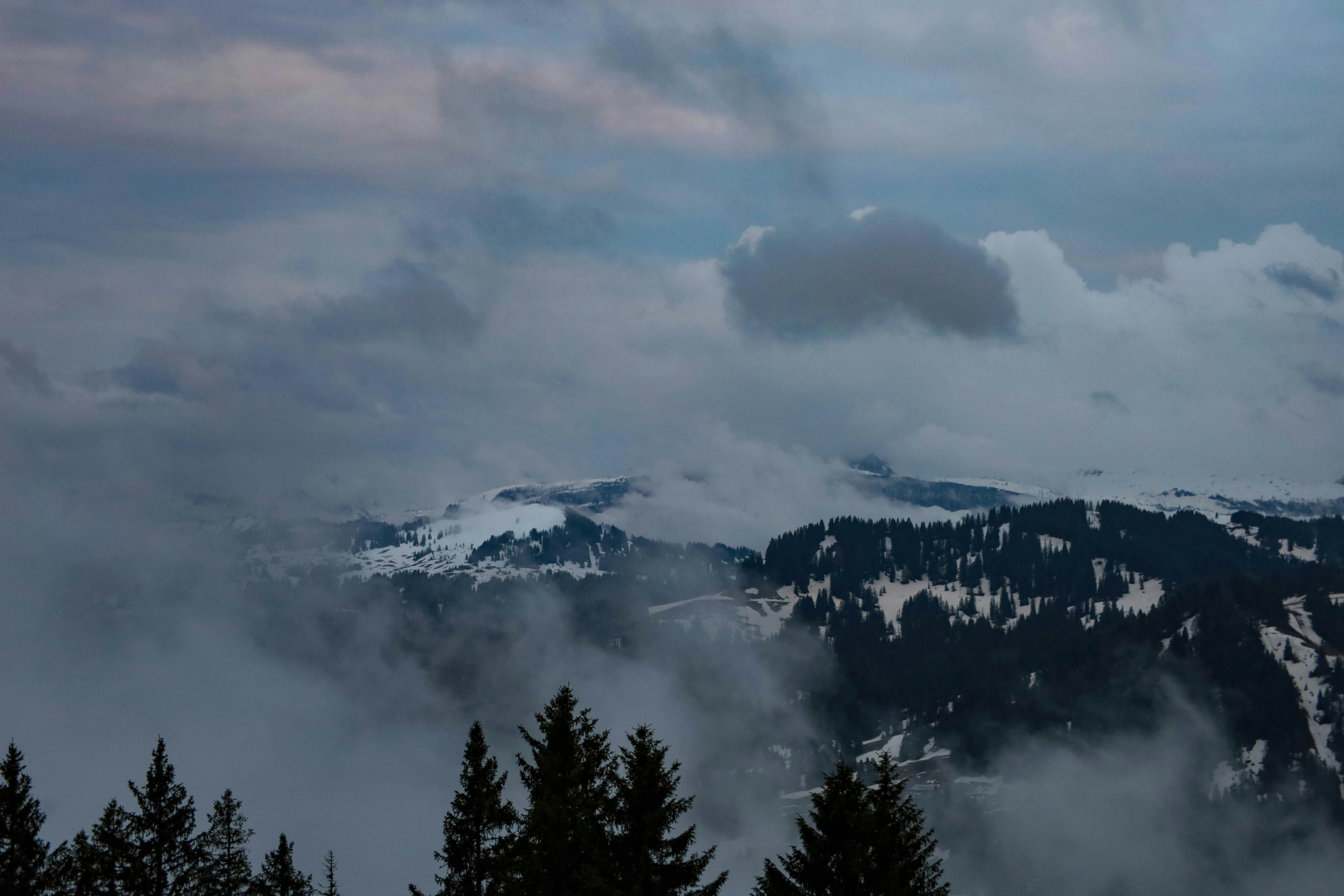 Photo by doeringphotograpy