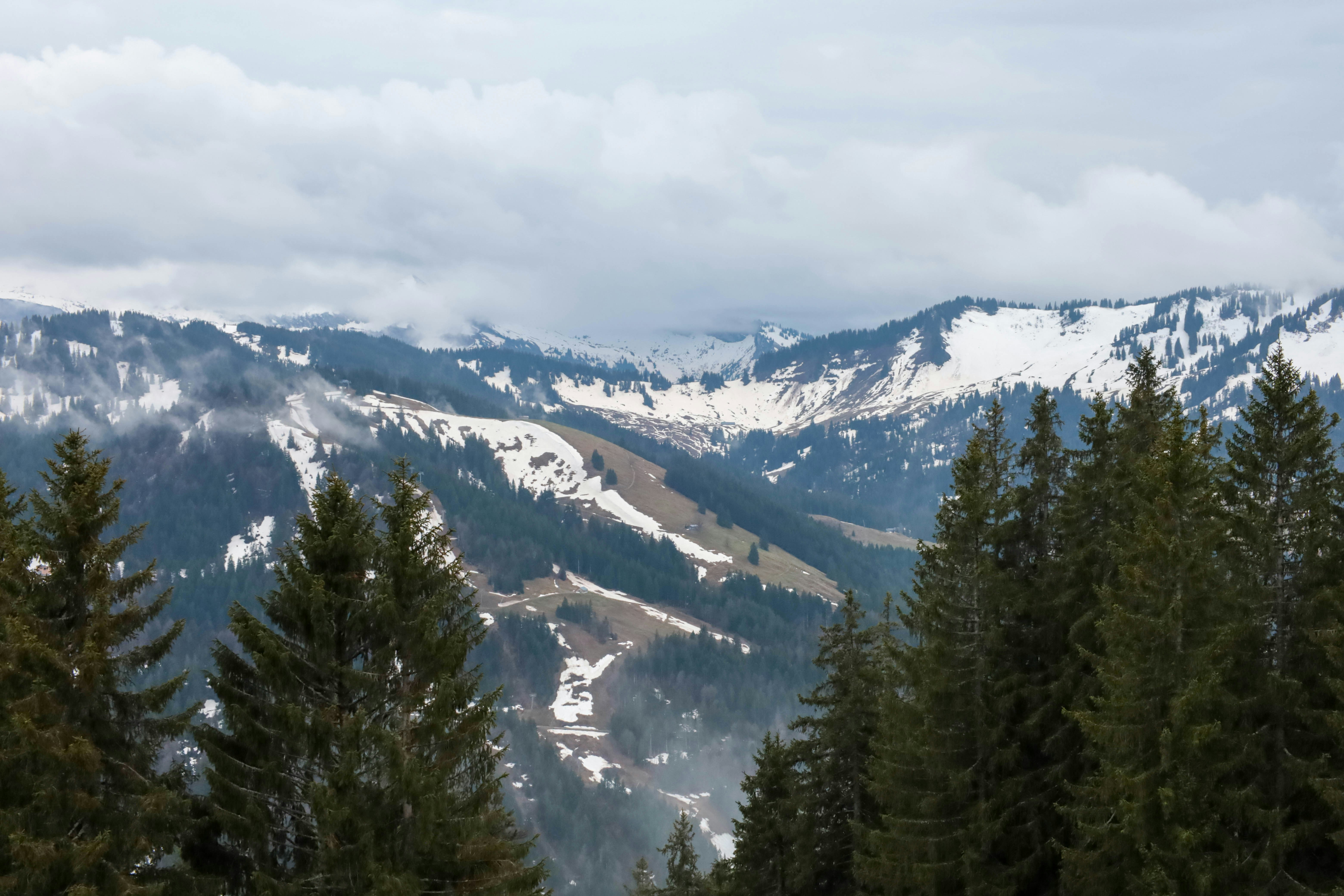 Photo by doeringphotograpy