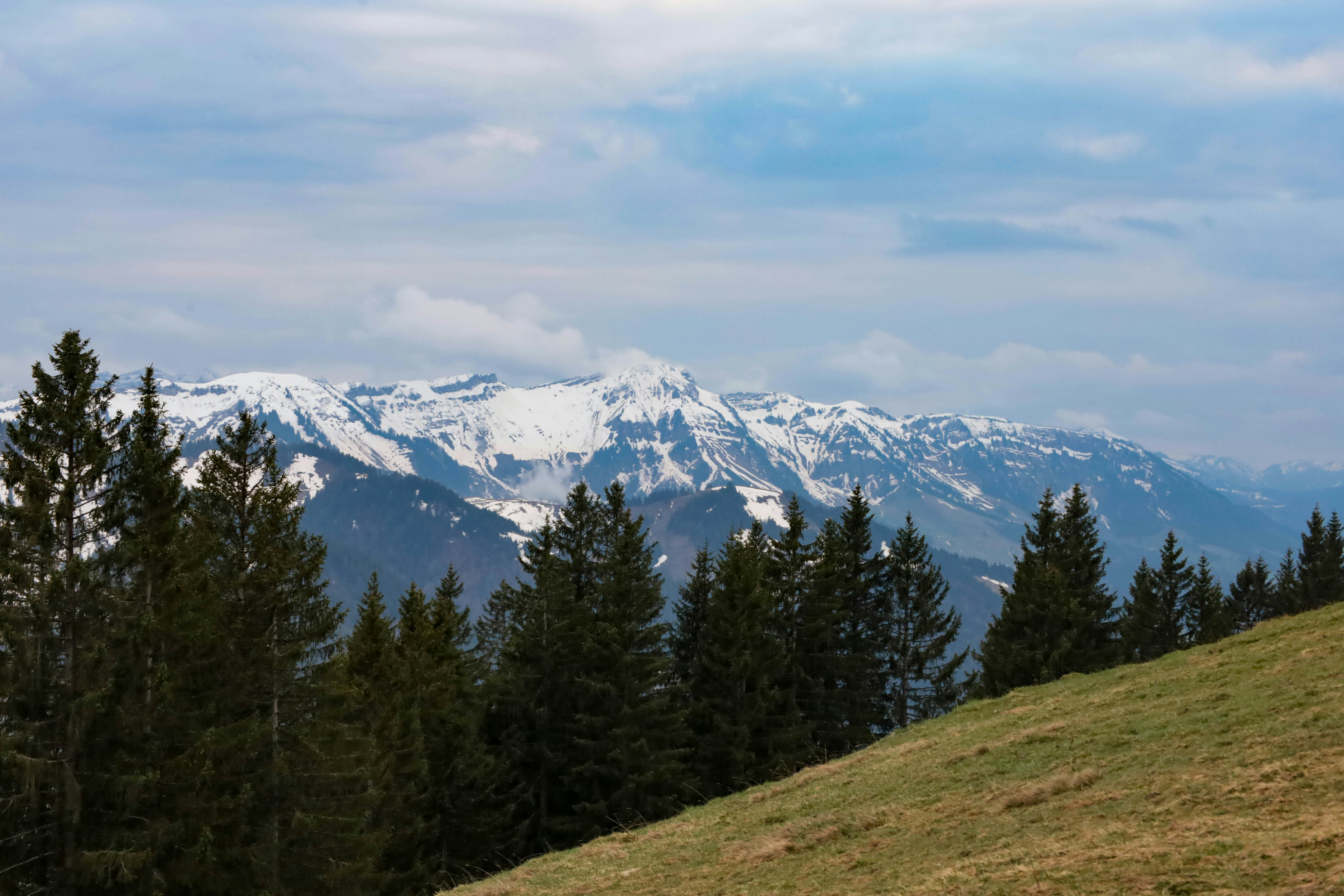 Photo by doeringphotograpy