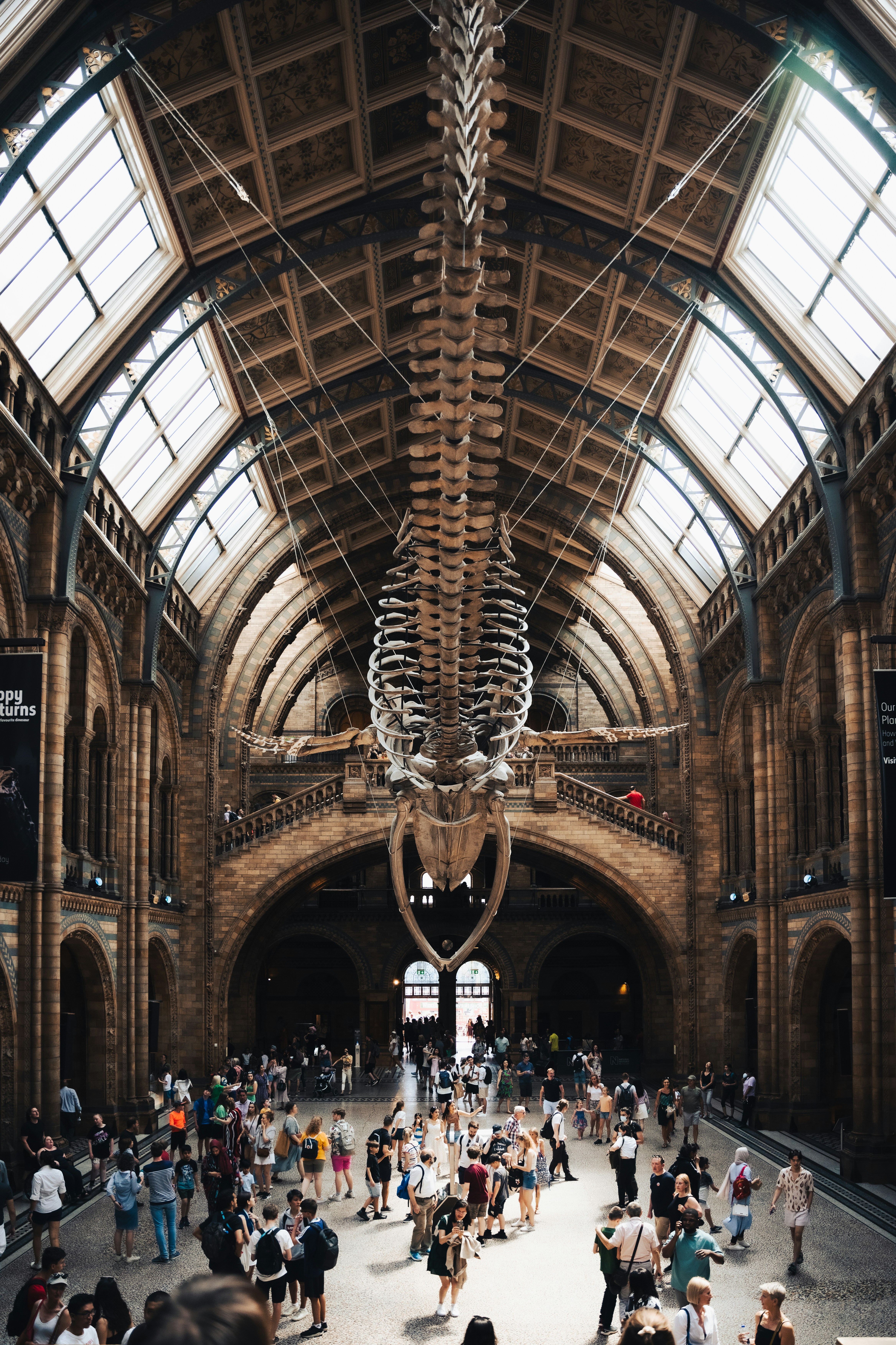 Photo by shashanksahay