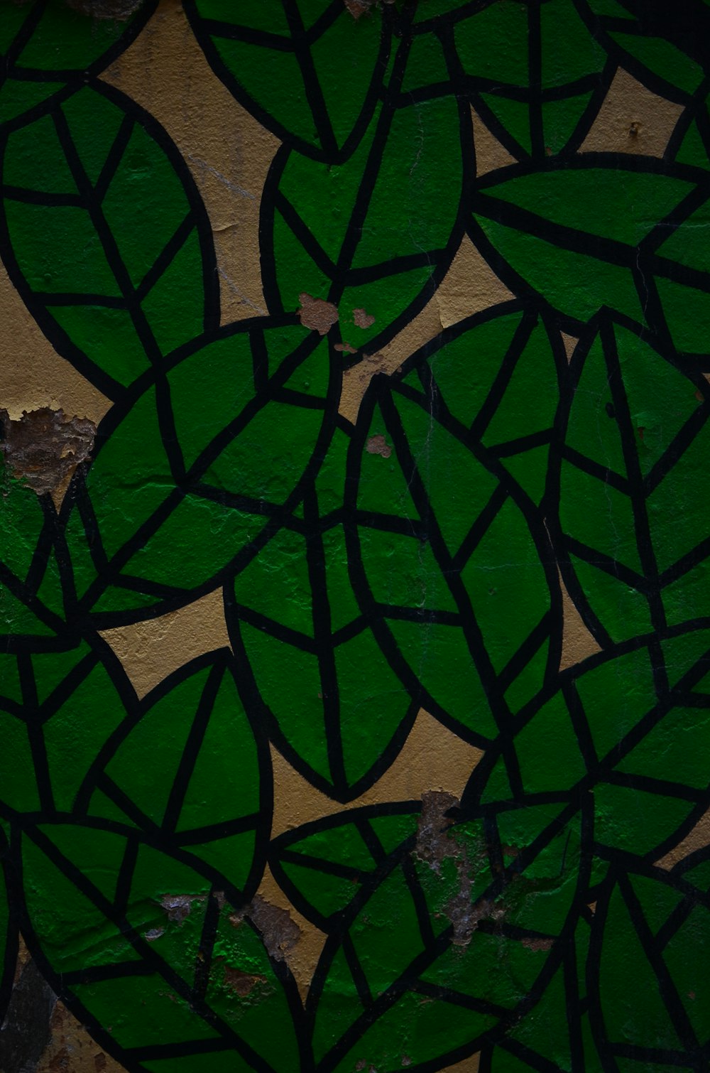 a close up of a leaf