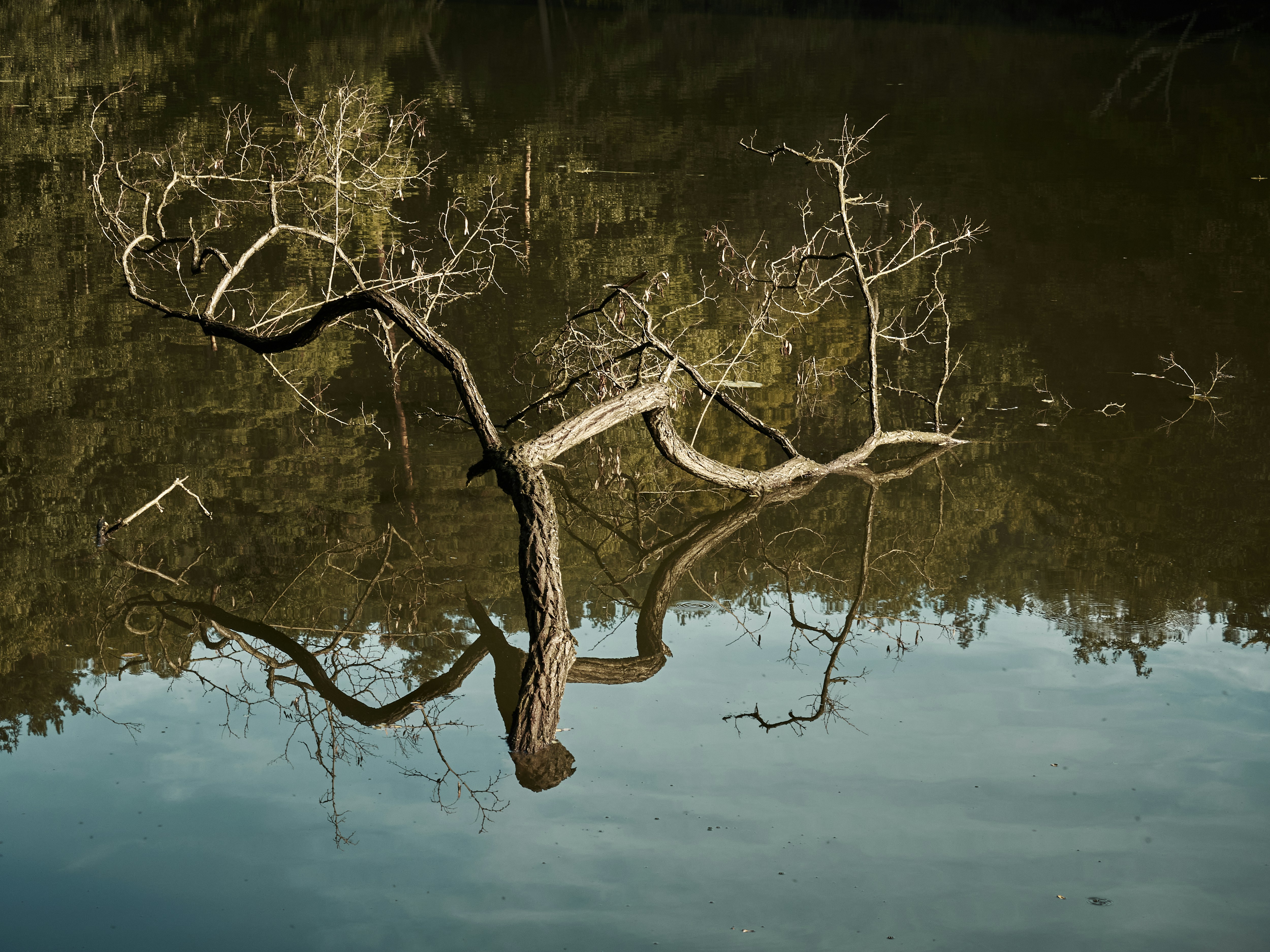 Photo by jkalina