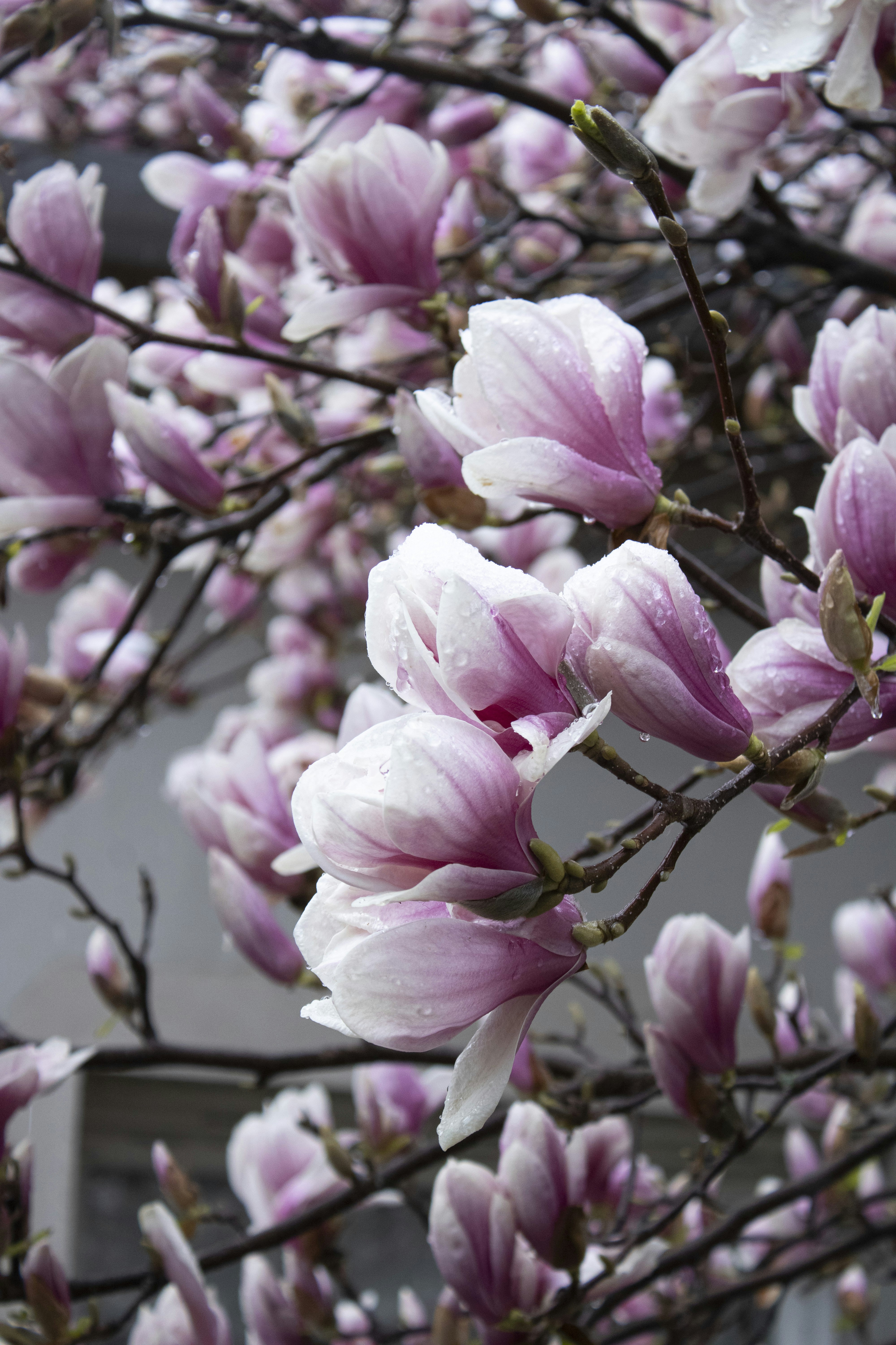 Photo by albertdavid6