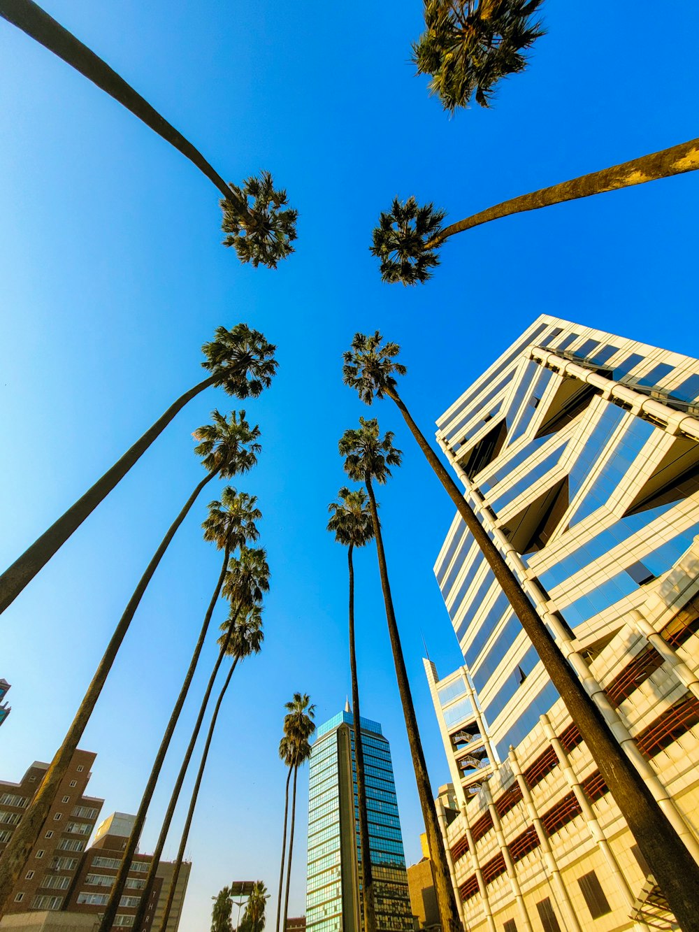 a group of tall buildings