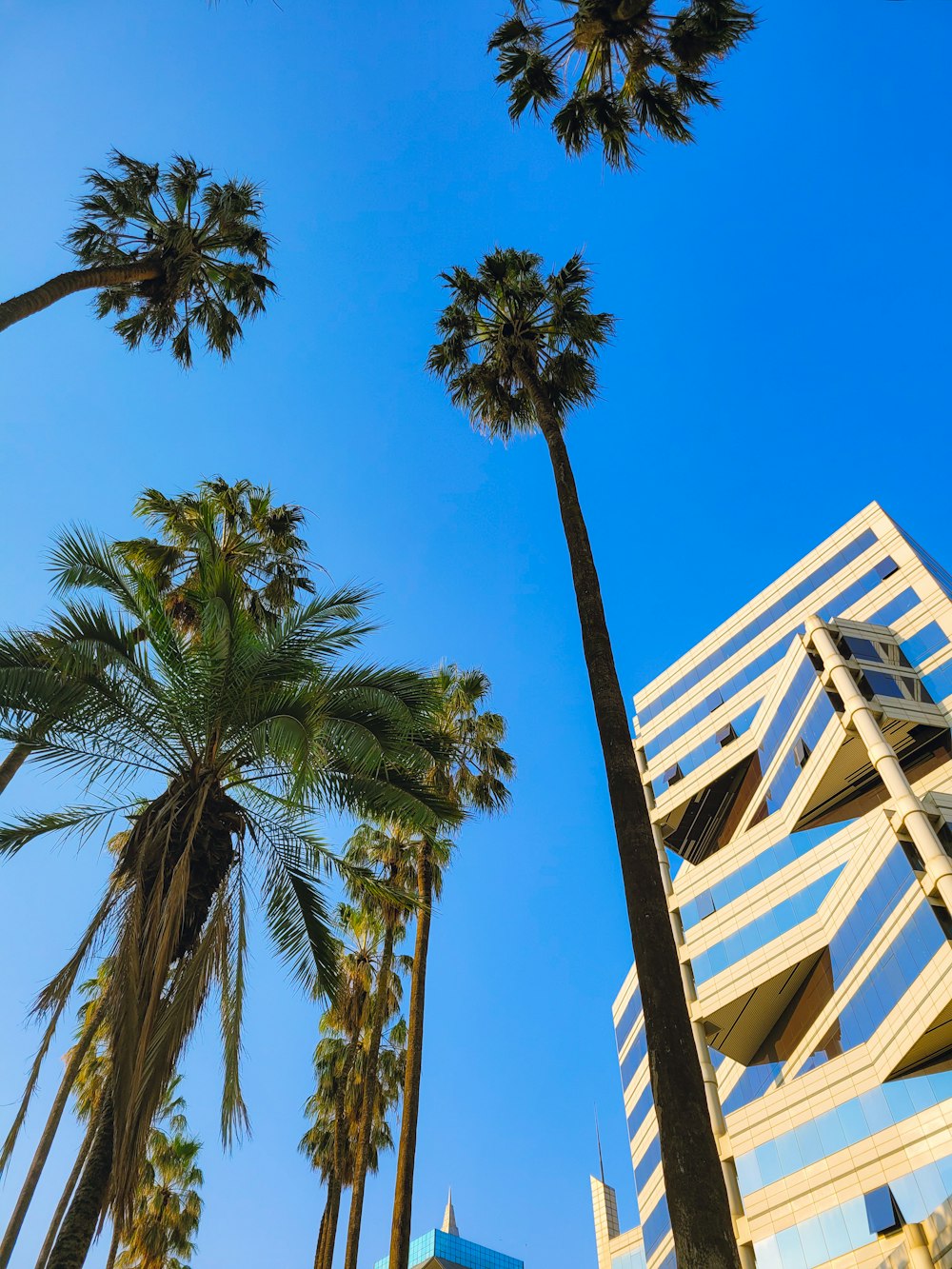 a building with palm trees