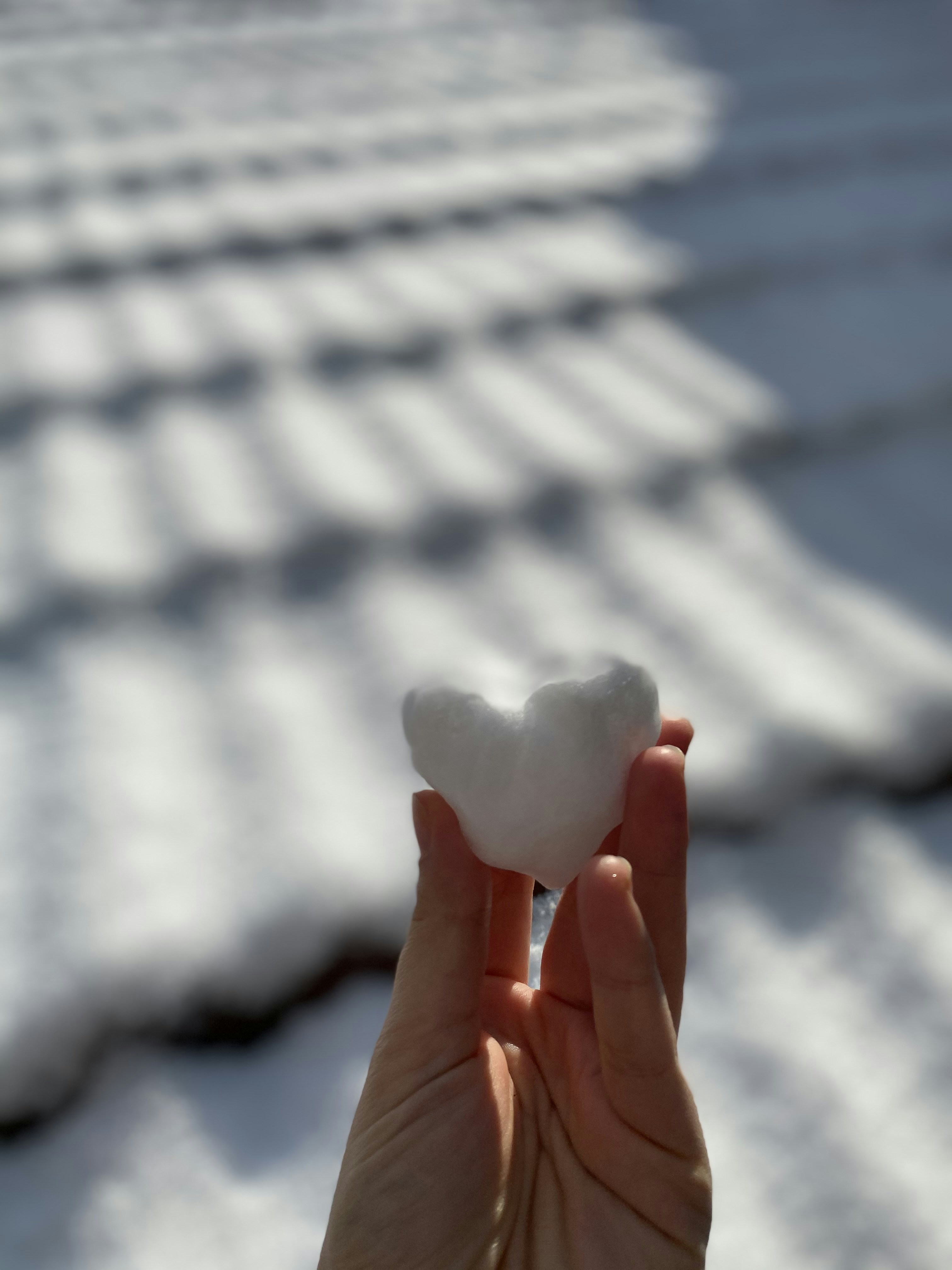 a hand holding a rock
