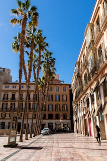 a street with palm trees and buildings