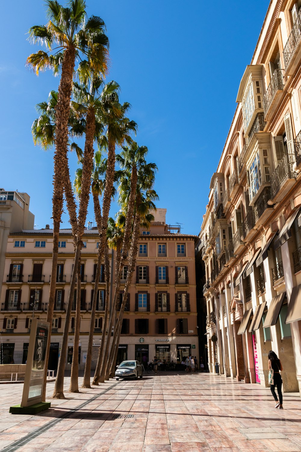 a street with palm trees and buildings