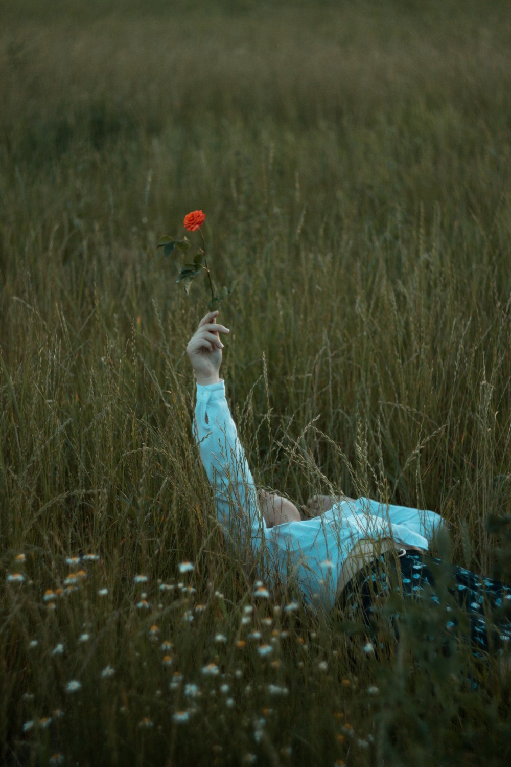 a person holding a flower in a field