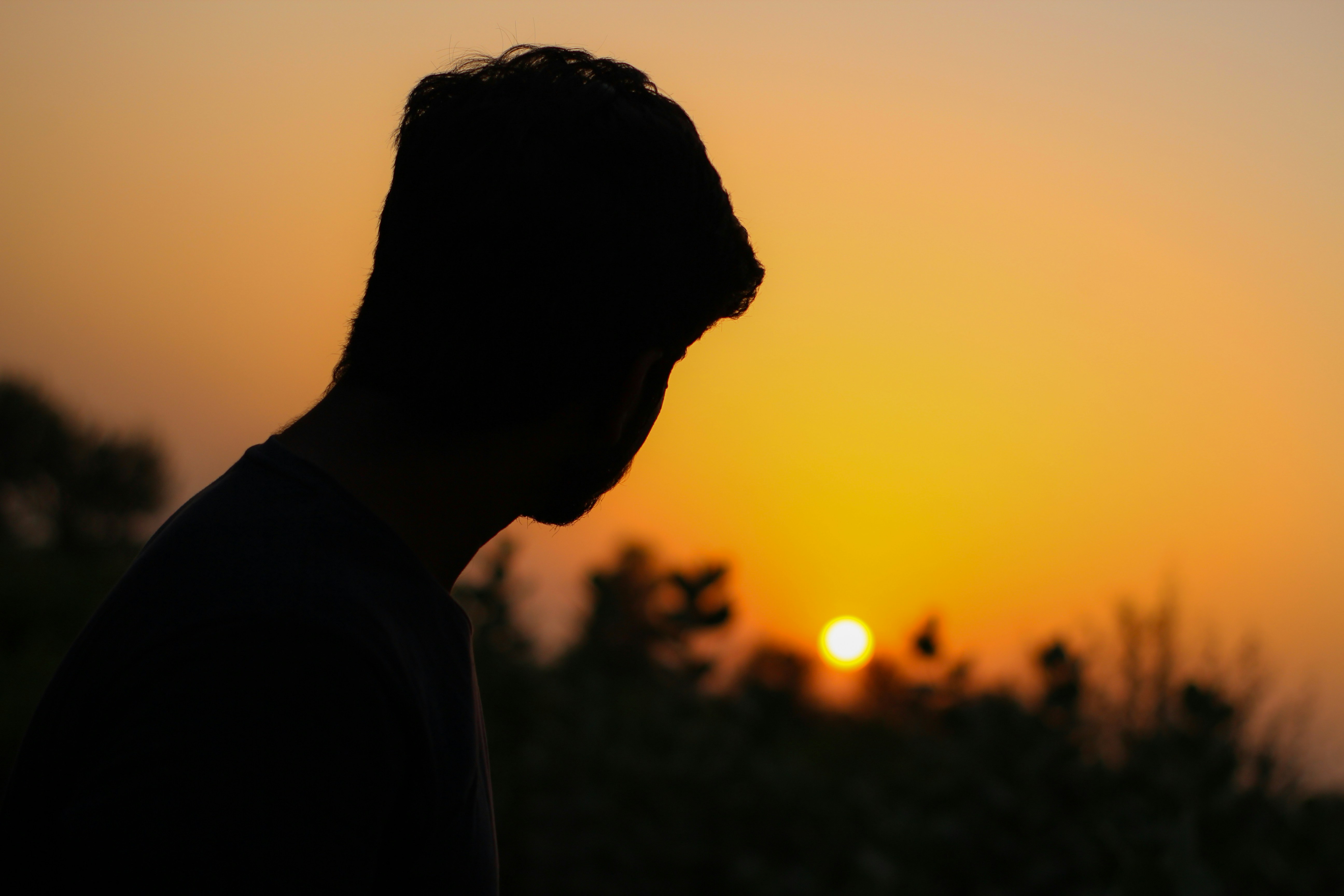 Photo by abeergraphics