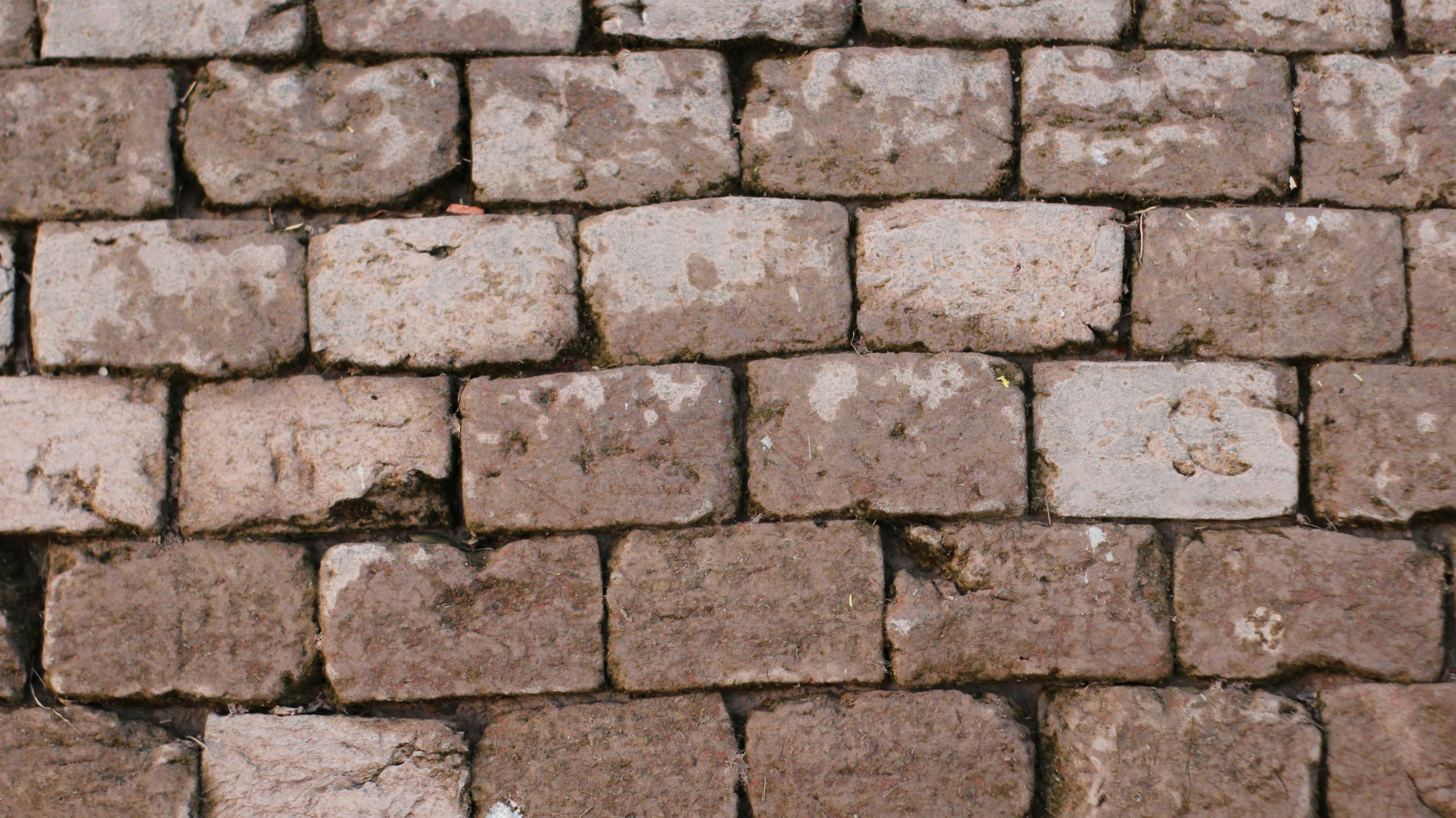 Photo by abeergraphics