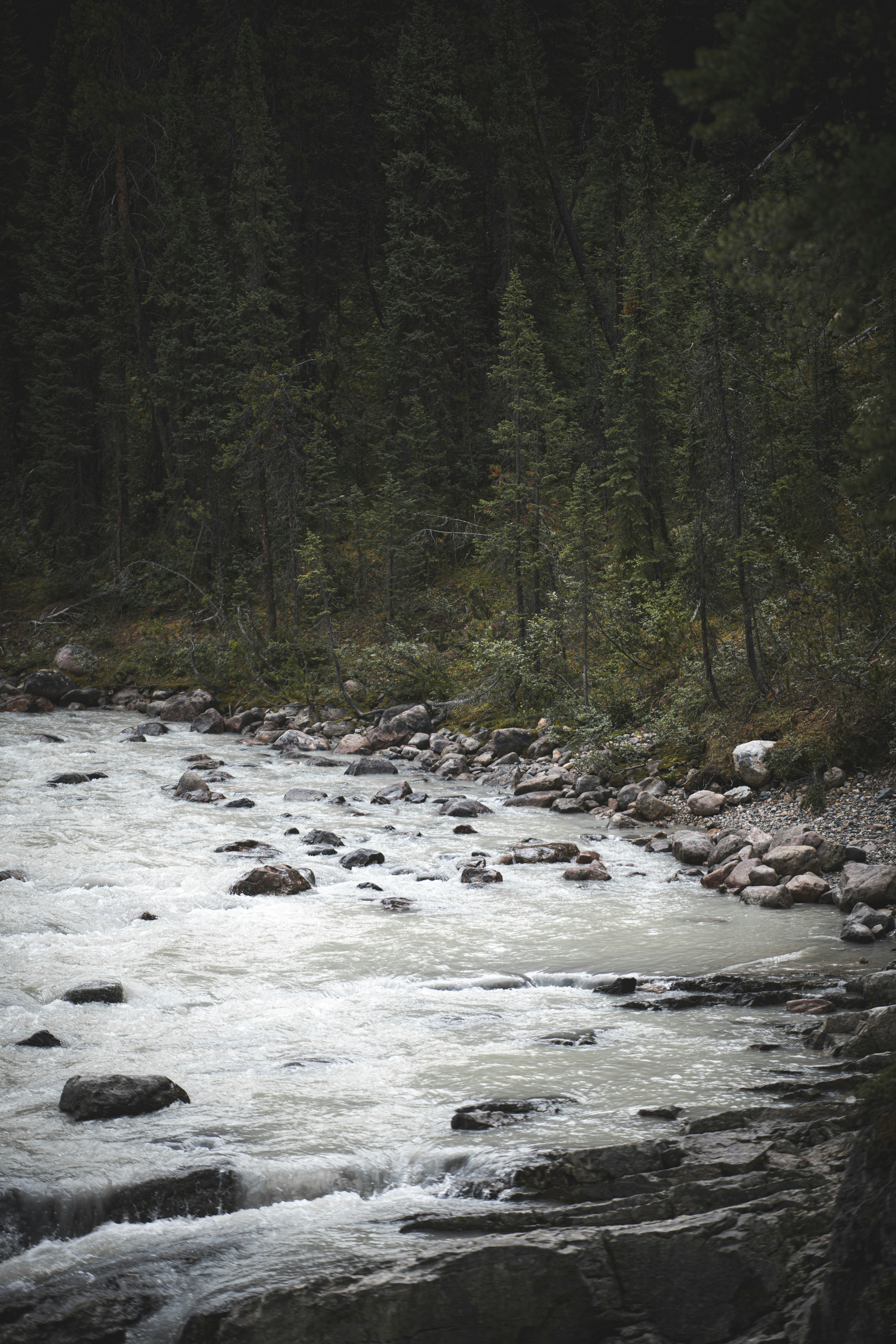 Photo by elliottmason