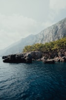 a body of water with rocks and trees on the side