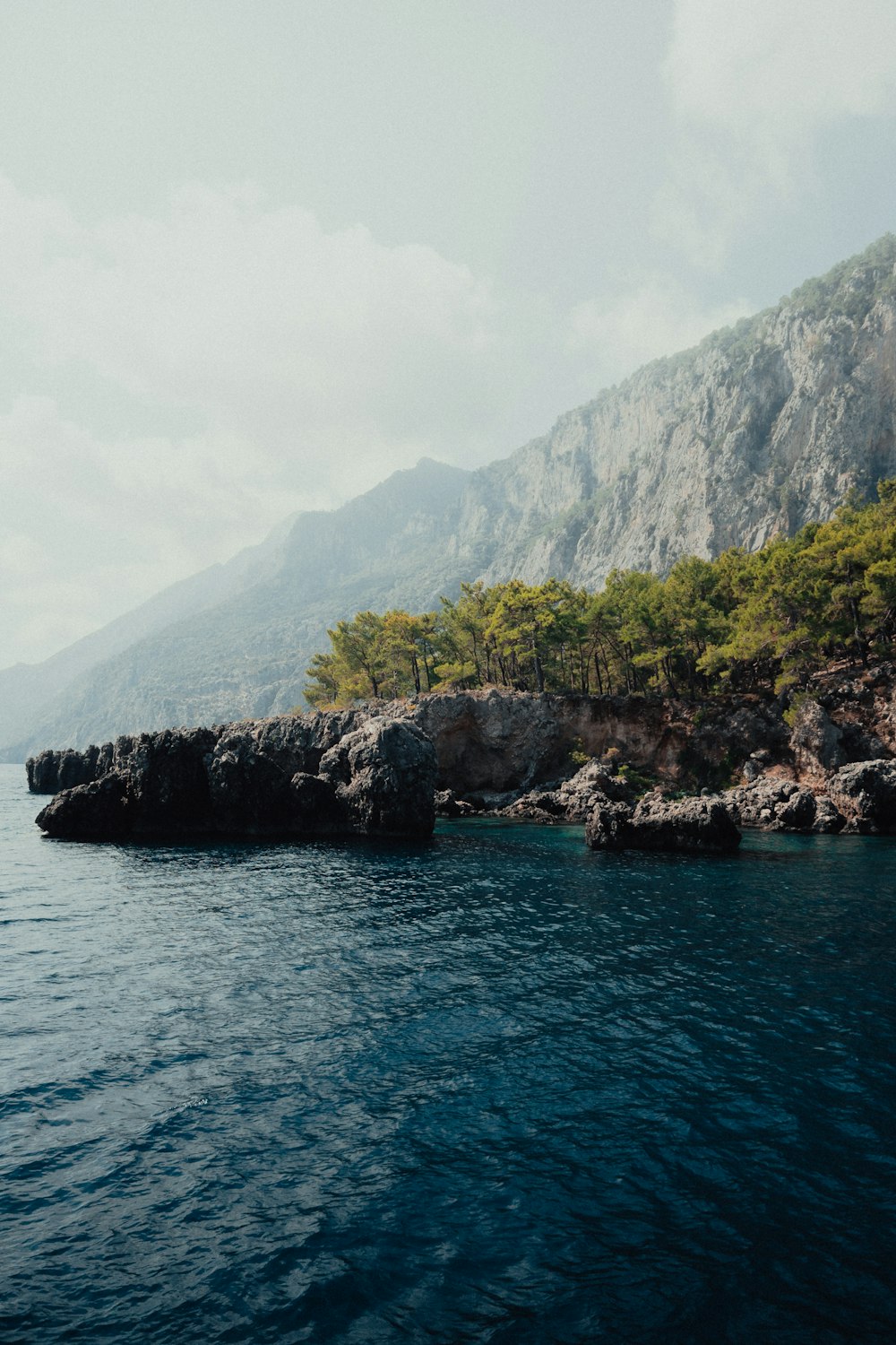 a body of water with rocks and trees on the side