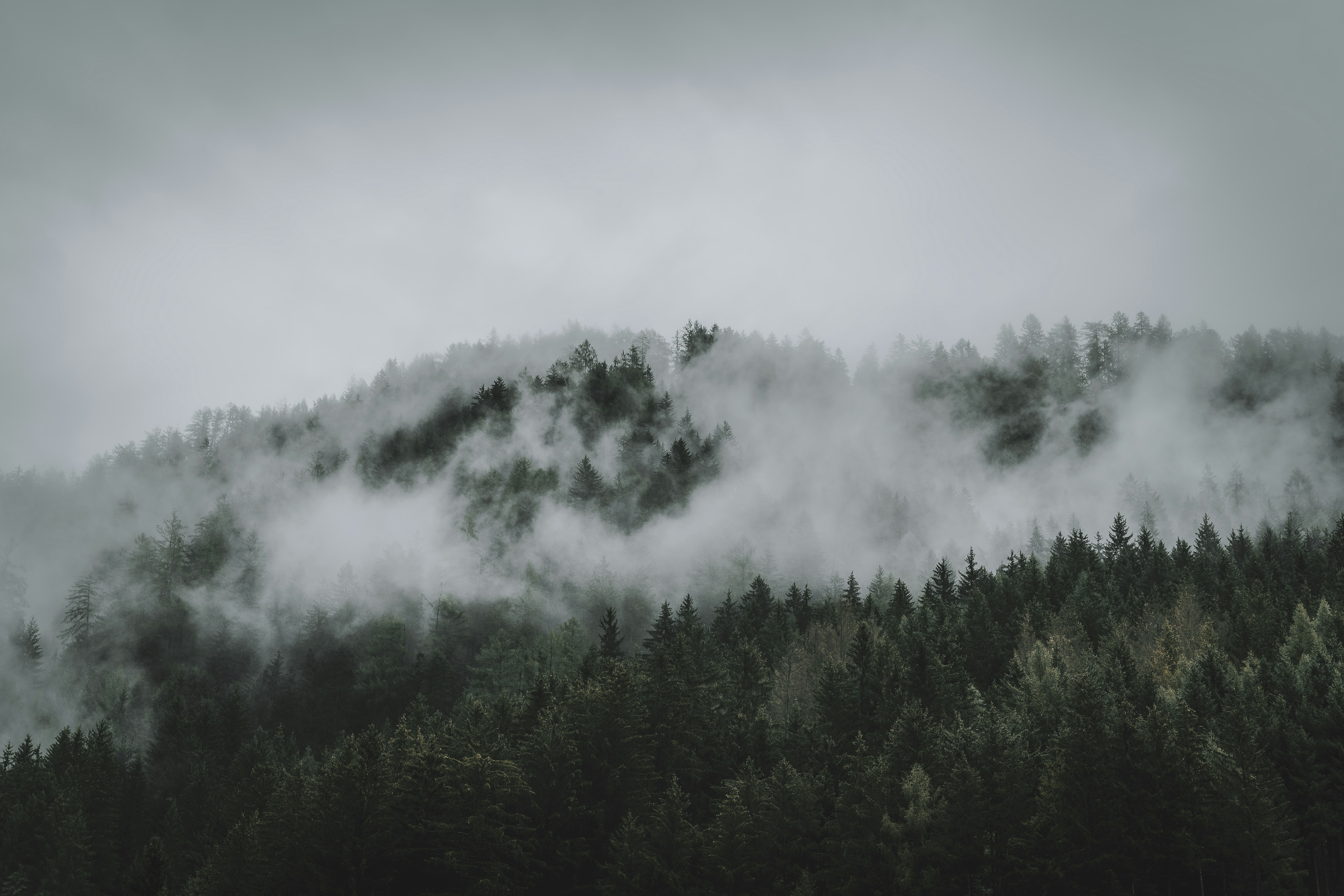 Photo by eberhard 🖐 grossgasteiger / Unsplash