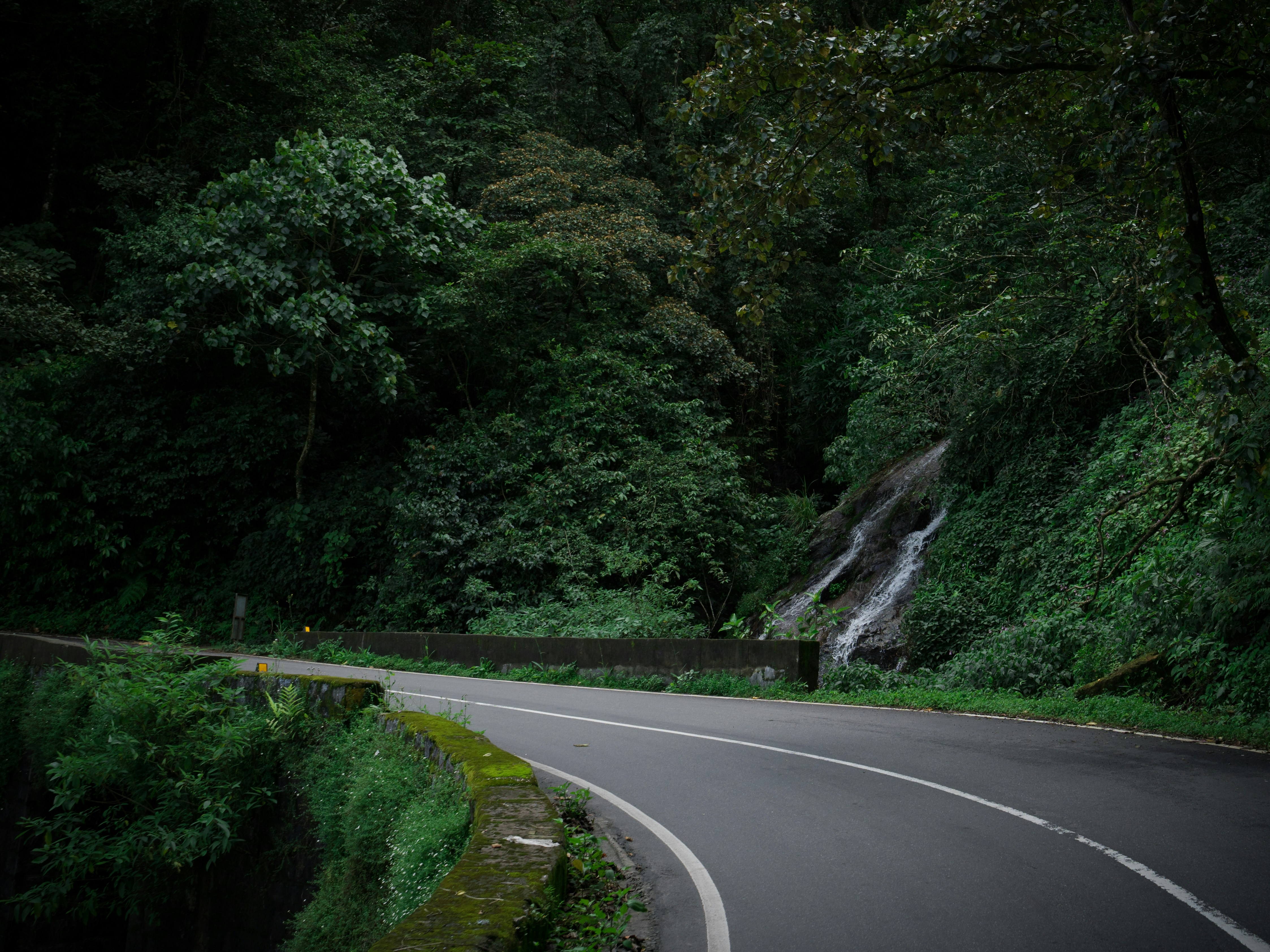 Took this image during a road trip to the Hills of Valparai,Tamilnadu