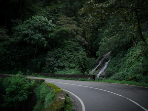 Valparai
