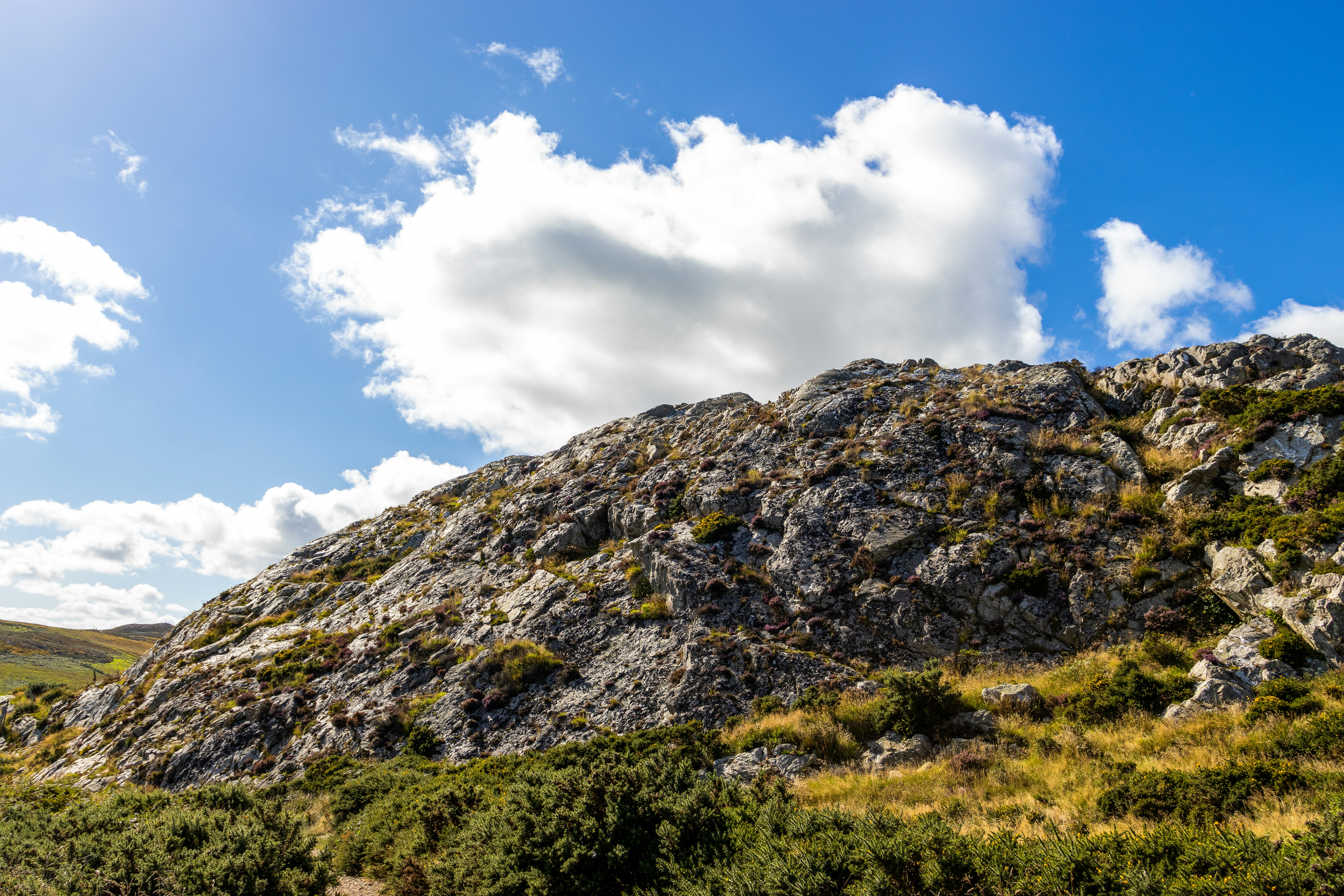 Photo by pokornymichal