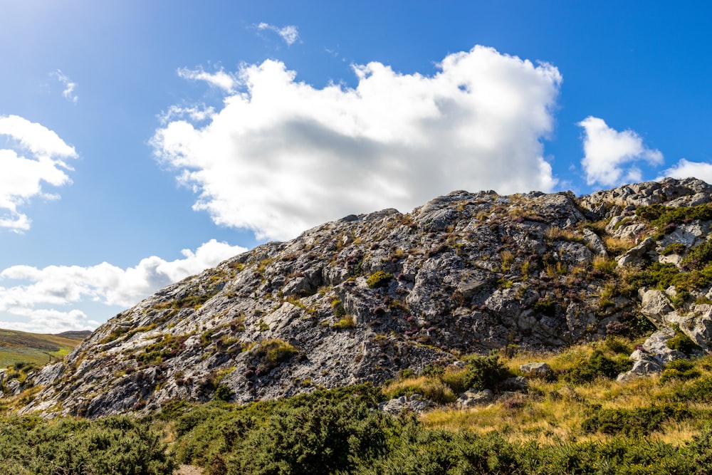 a rocky mountain with trees