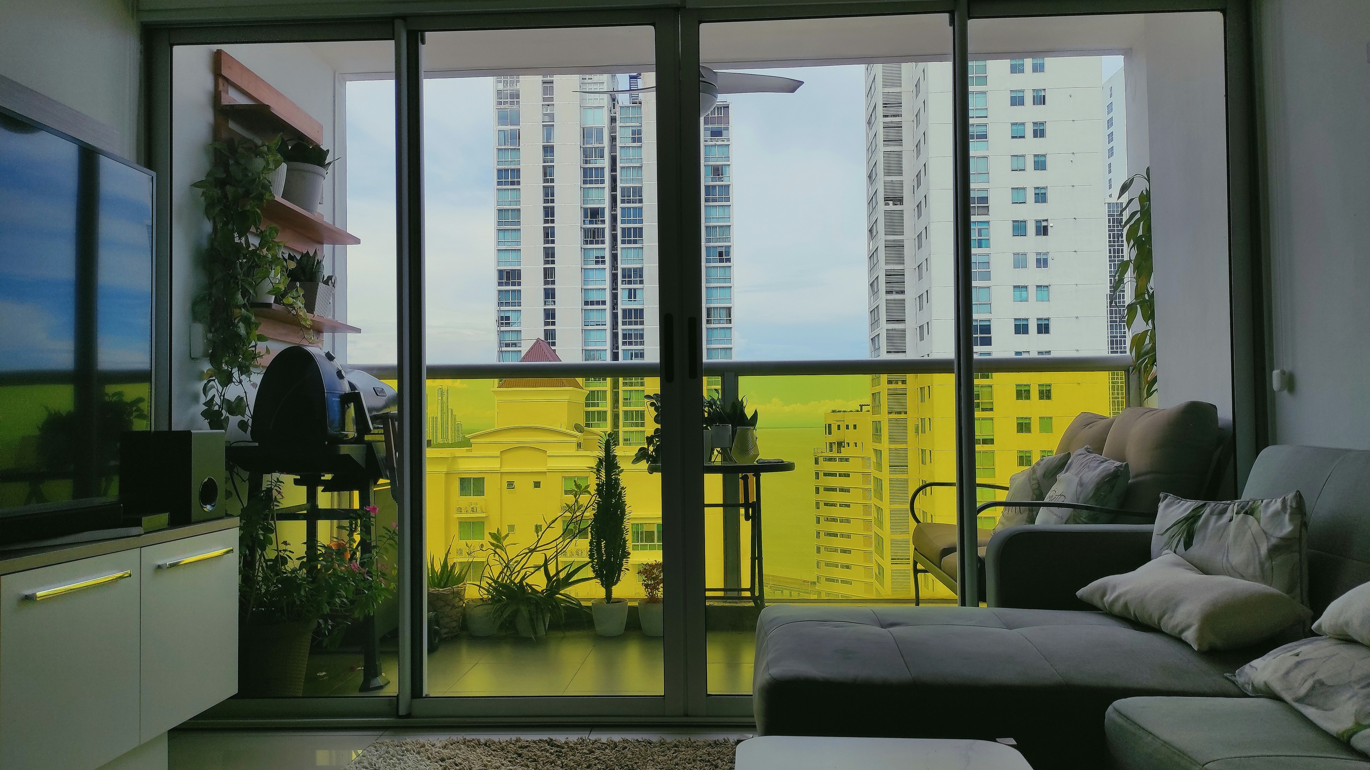 大きな窓とソファと植物のあるテーブルのある部屋