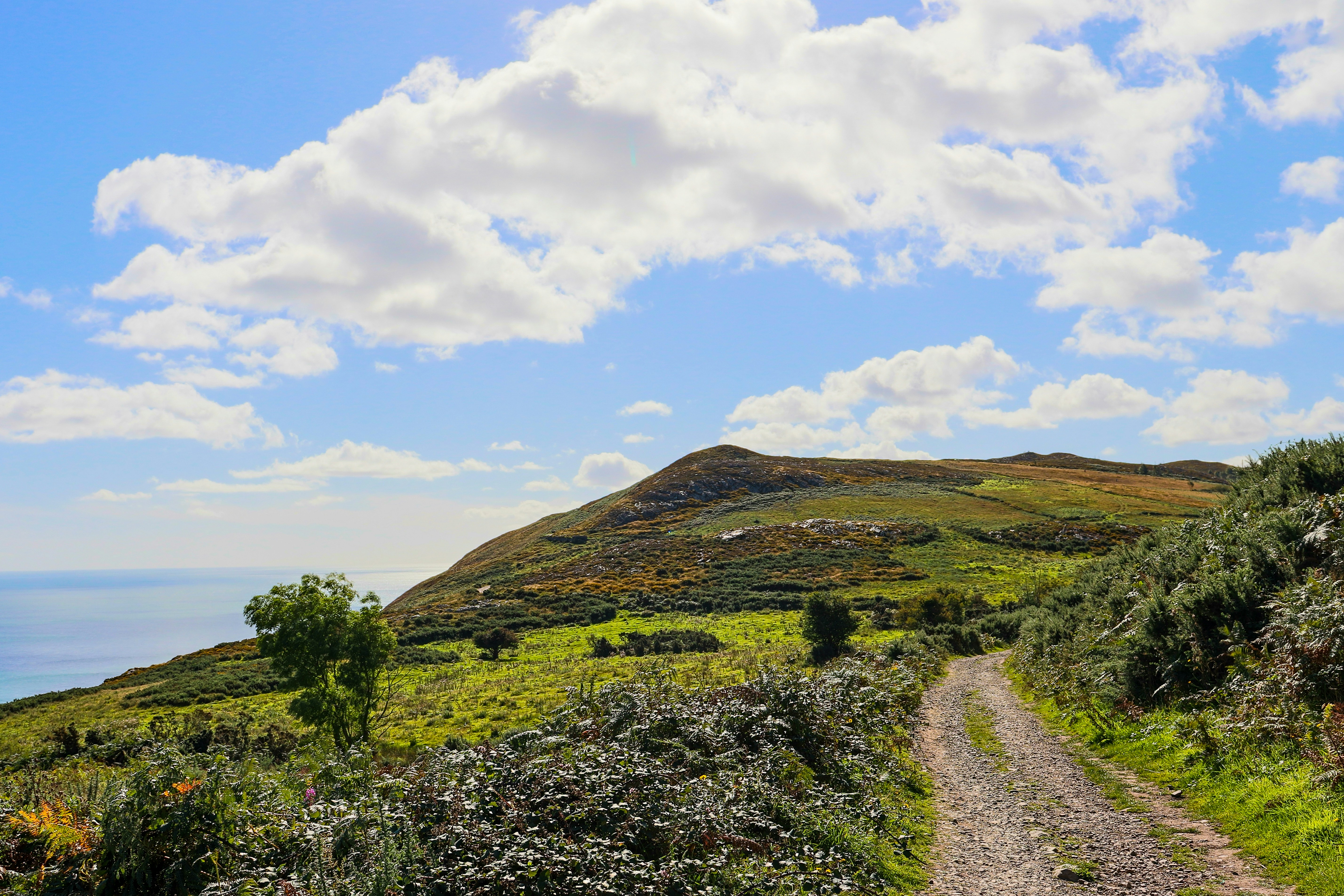 Photo by pokornymichal